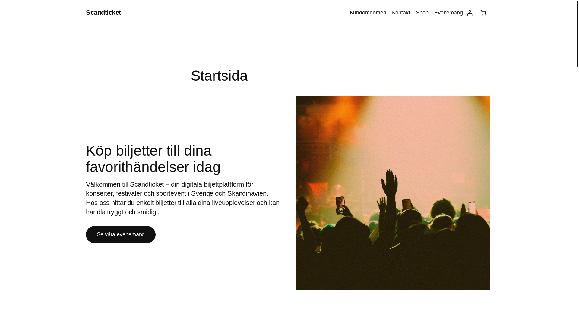 website screenshot of https://skandticket.se/