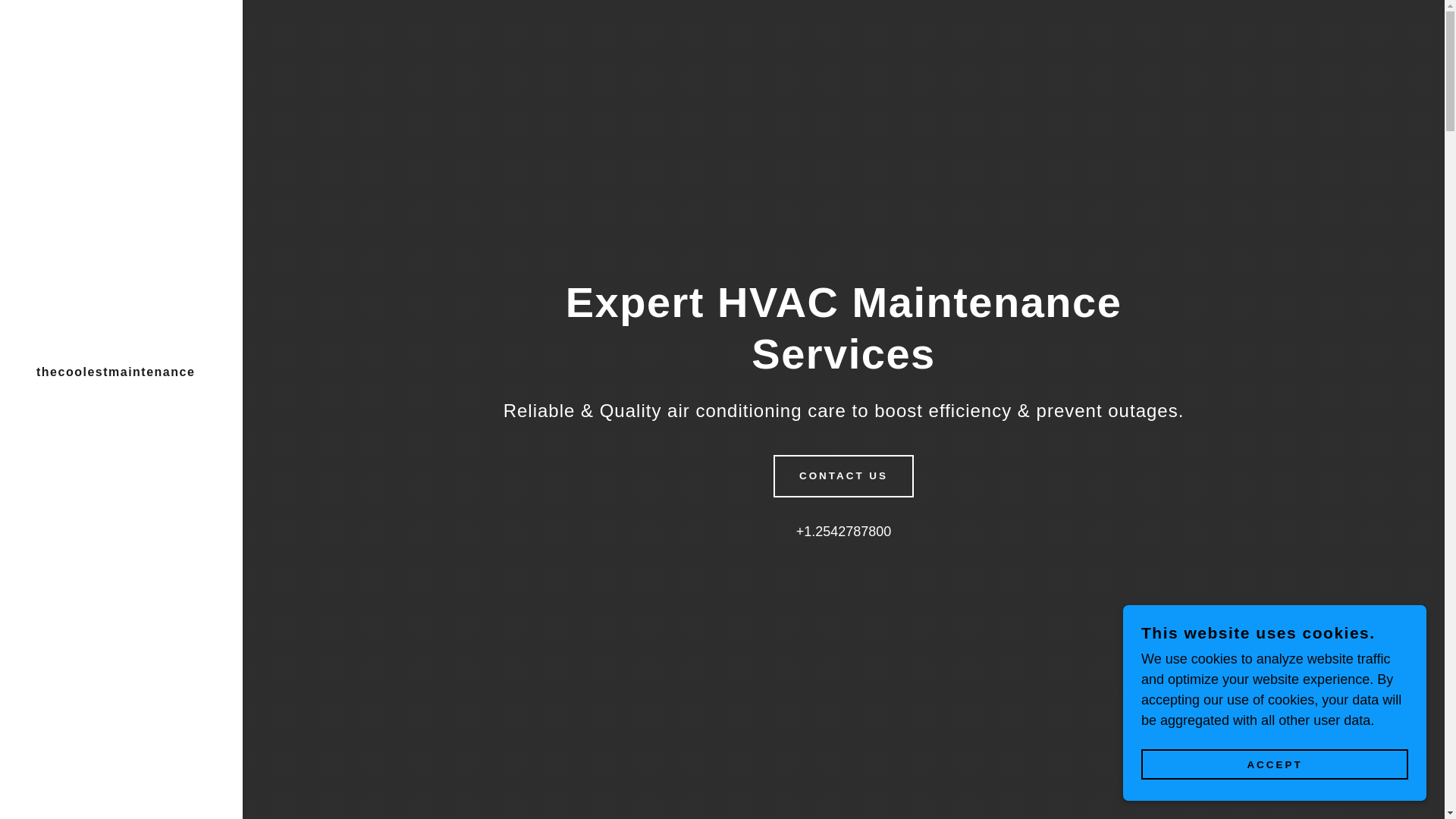 website screenshot of https://thecoolestmaintenance.com/