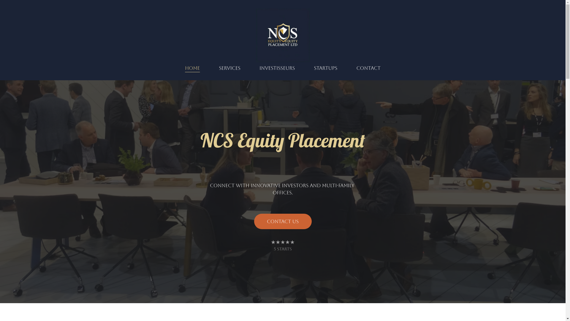 website screenshot of https://ncsequityltd.com/