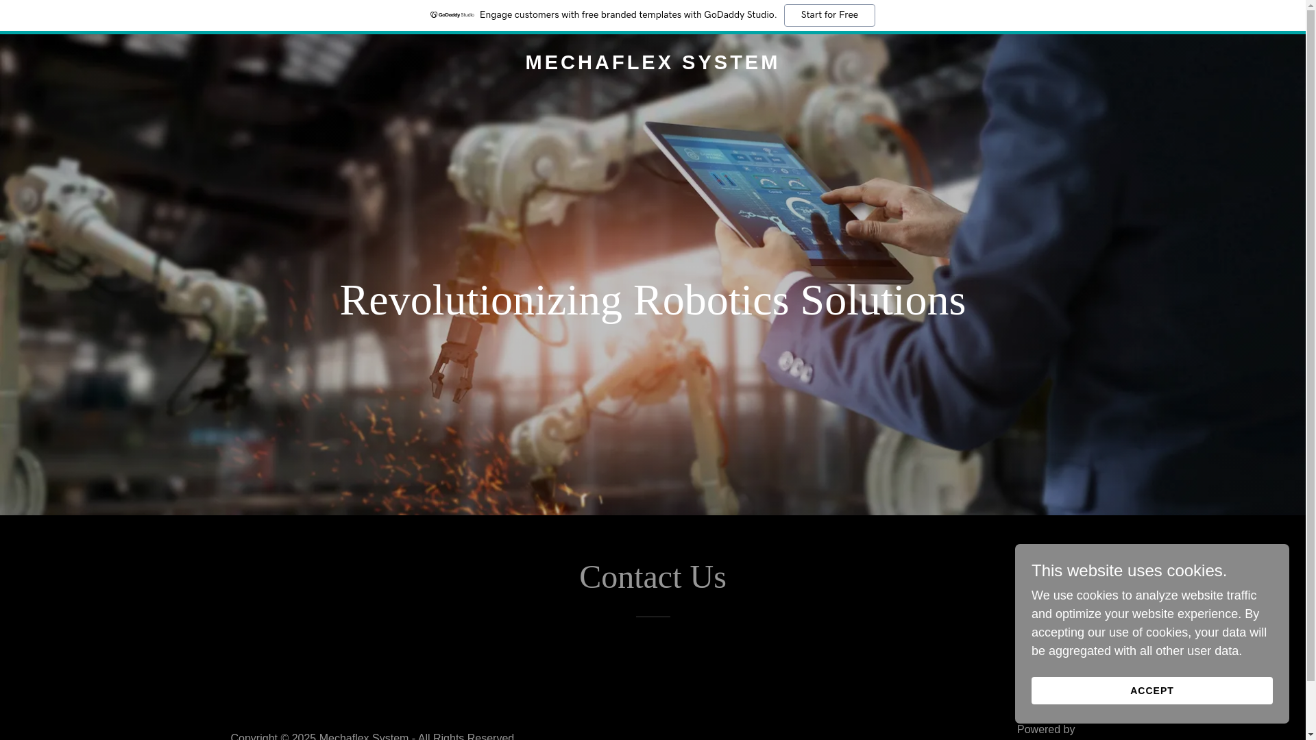website screenshot of https://mechaflex-system.com/