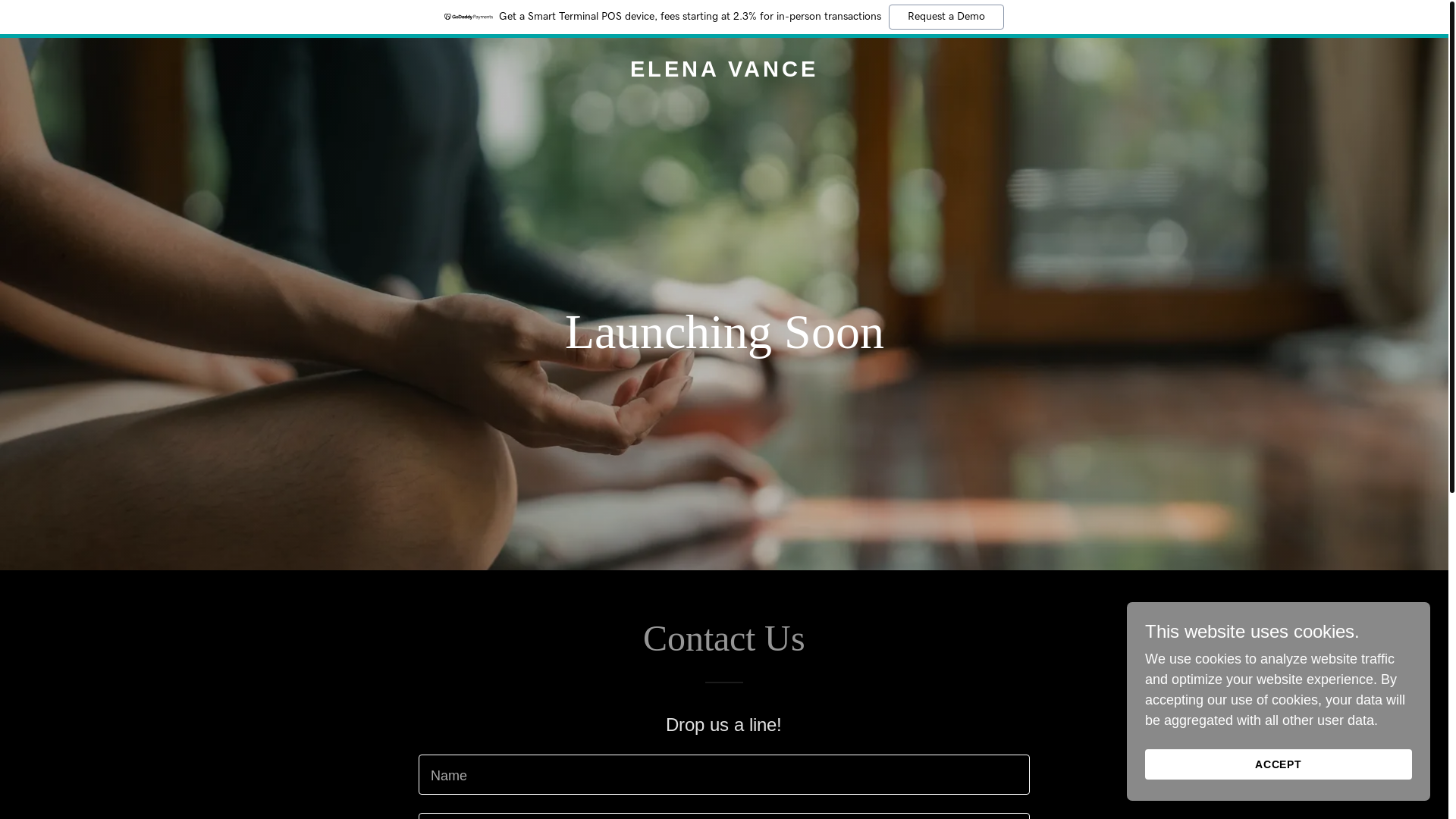 website screenshot of https://elenavance.space/