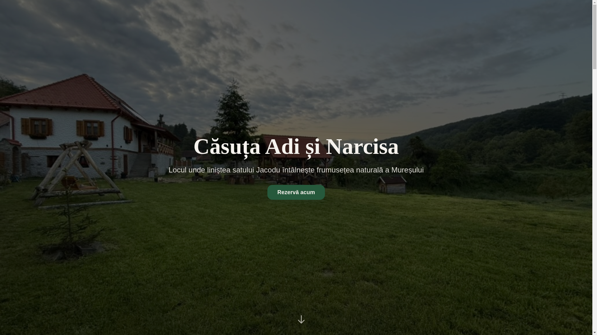 website screenshot of https://casutadi-narcisa.ro/