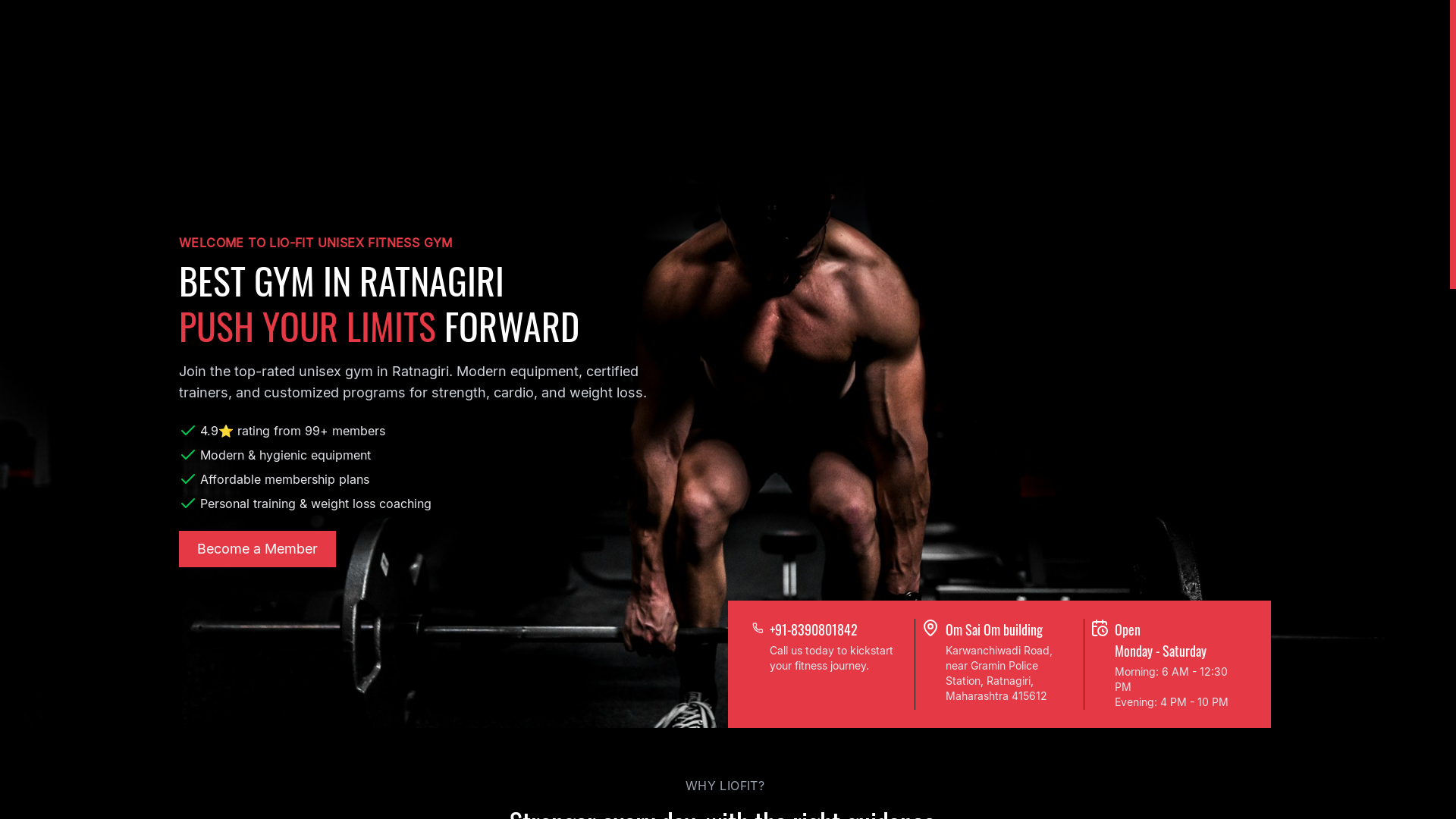 website screenshot of https://liofitunisexfitnessgym.space/
