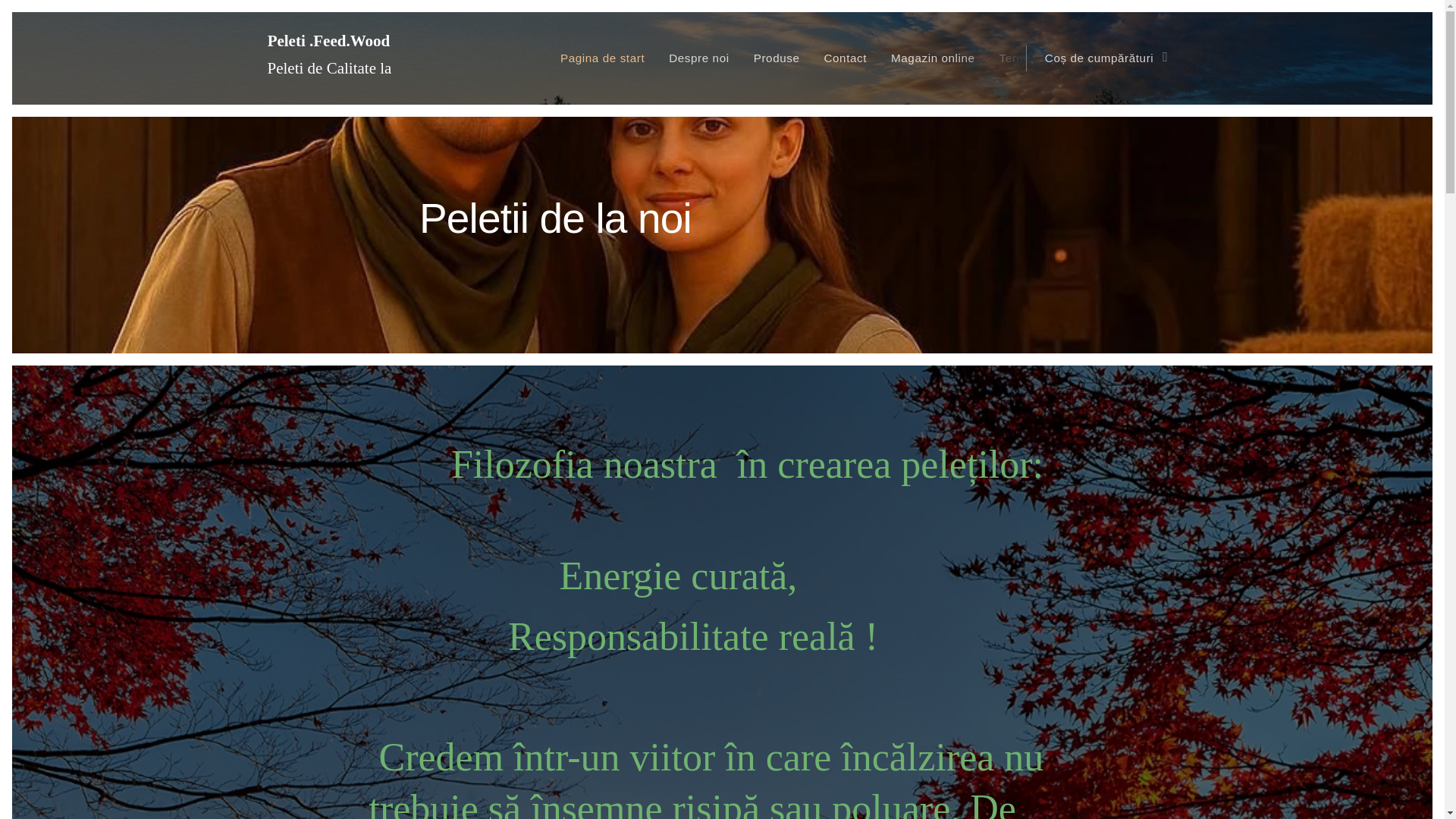 website screenshot of https://peletidelanoi.com/