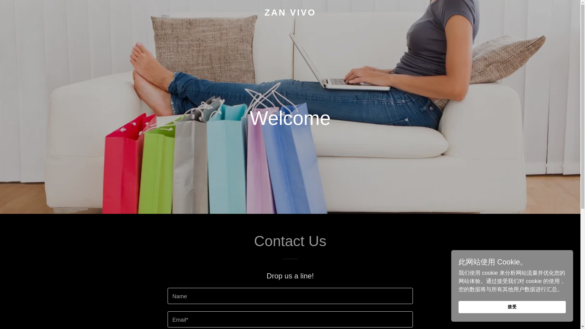 website screenshot of https://zanvivo.com/