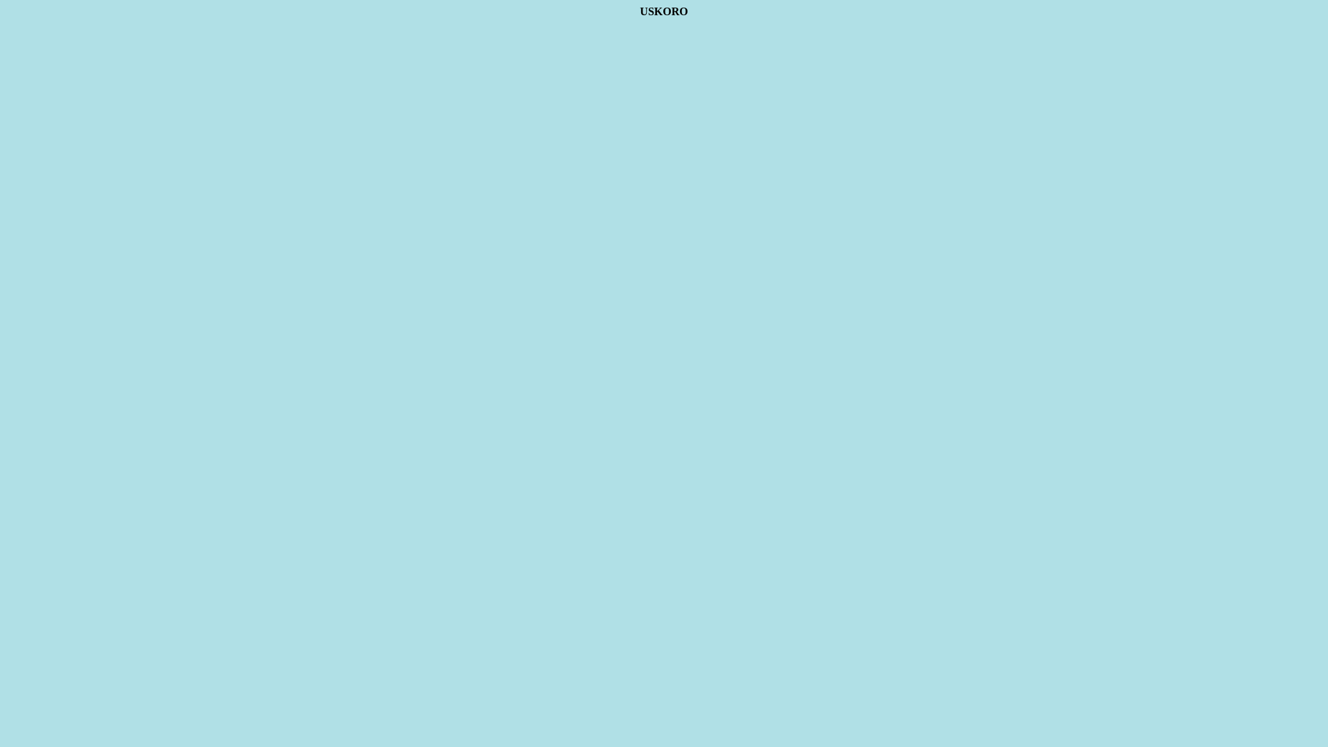 website screenshot of https://autoservisslepsluzbazivkovic.com/