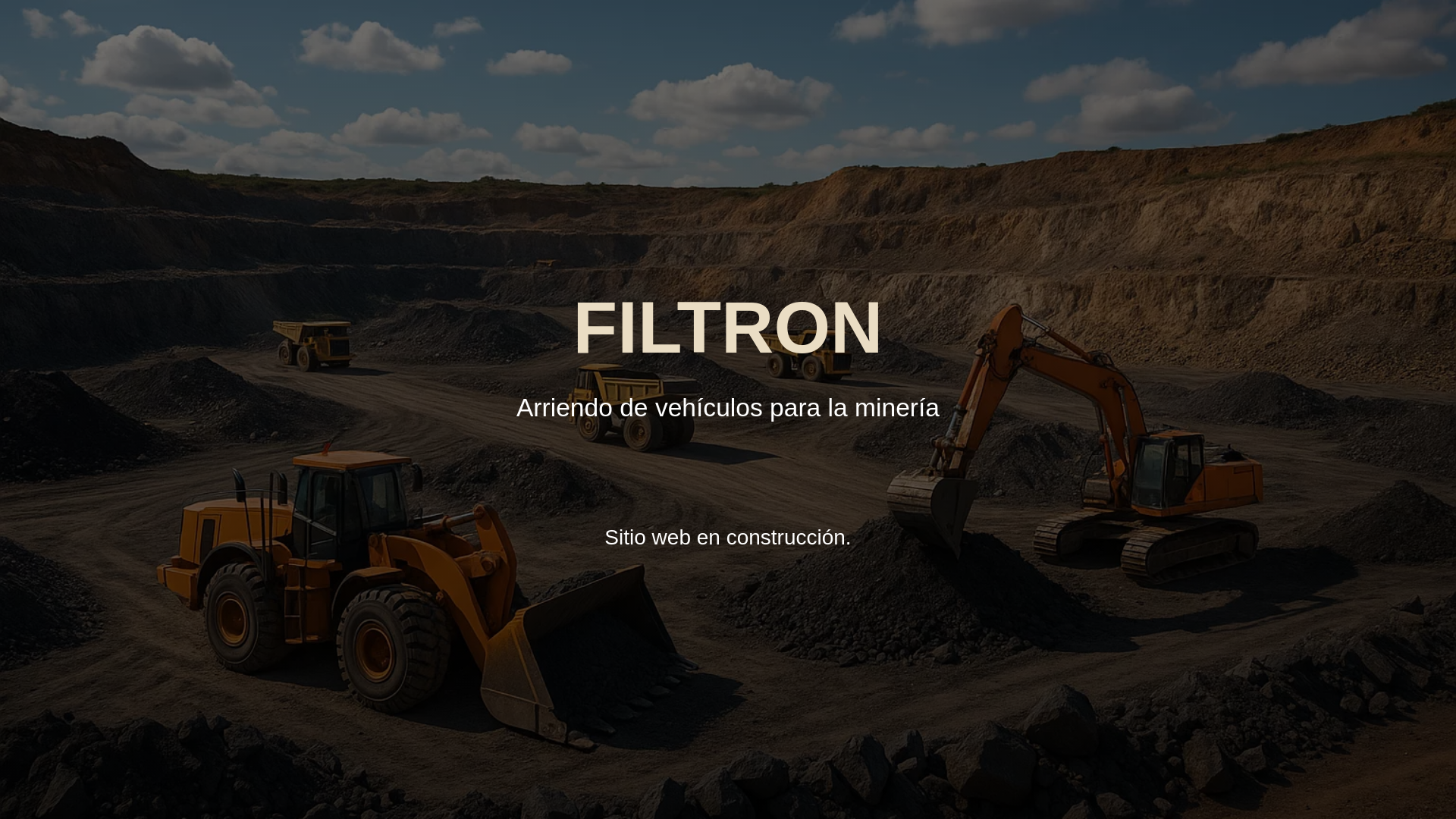 website screenshot of https://filtron.cl/