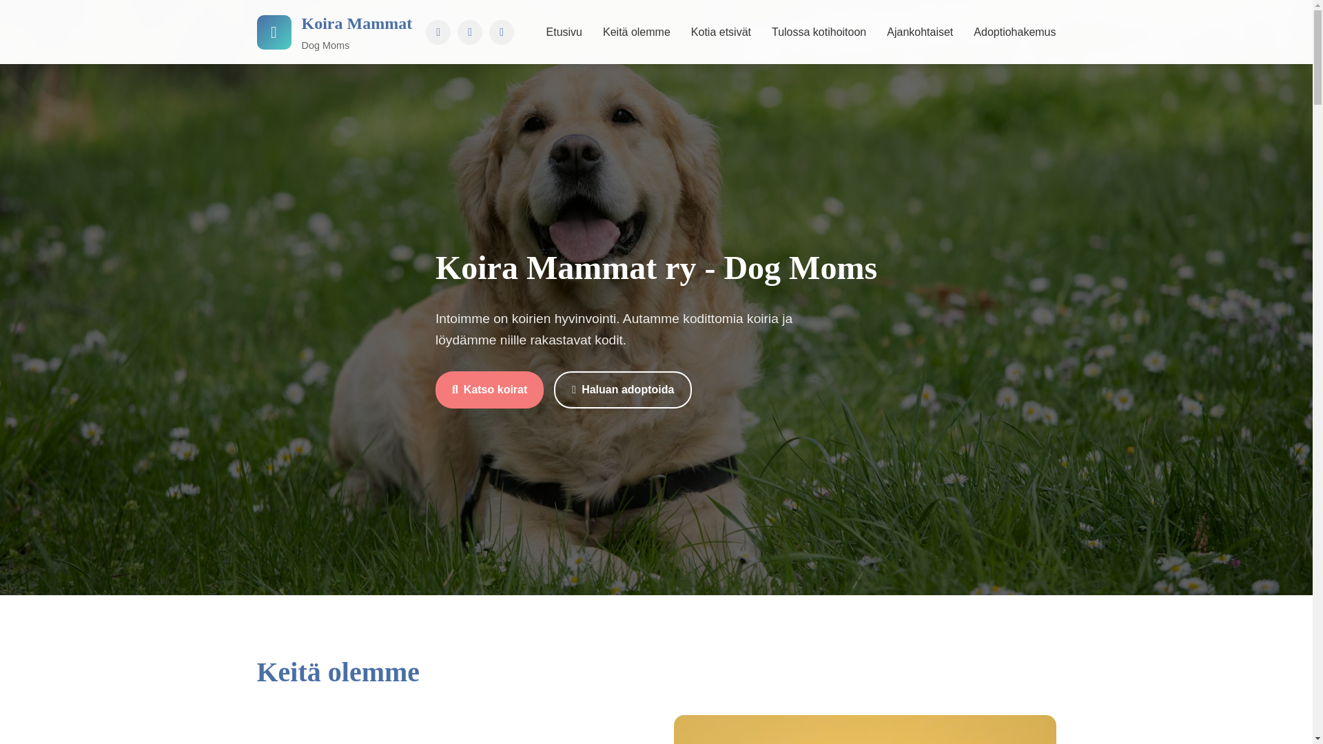 website screenshot of https://koiramammat.net/