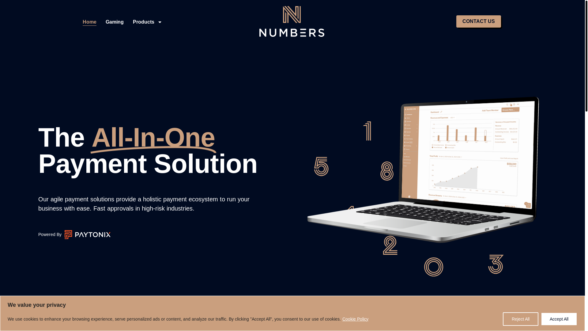 website screenshot of https://launchnumberspayments.co/