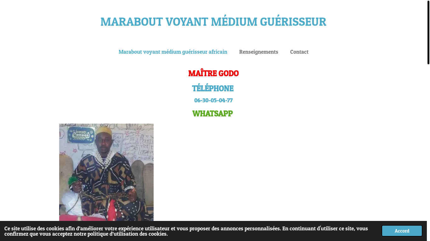 website screenshot of https://maitregodomaraboutguerisseurafricain.fr/