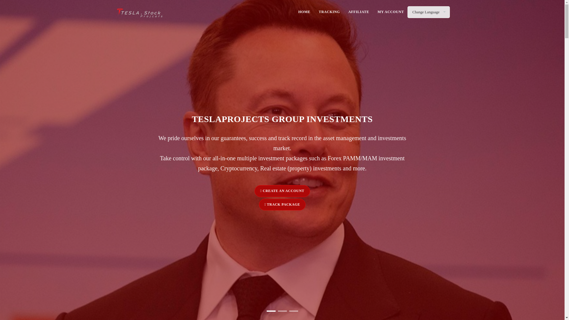 website screenshot of https://txproject.online/