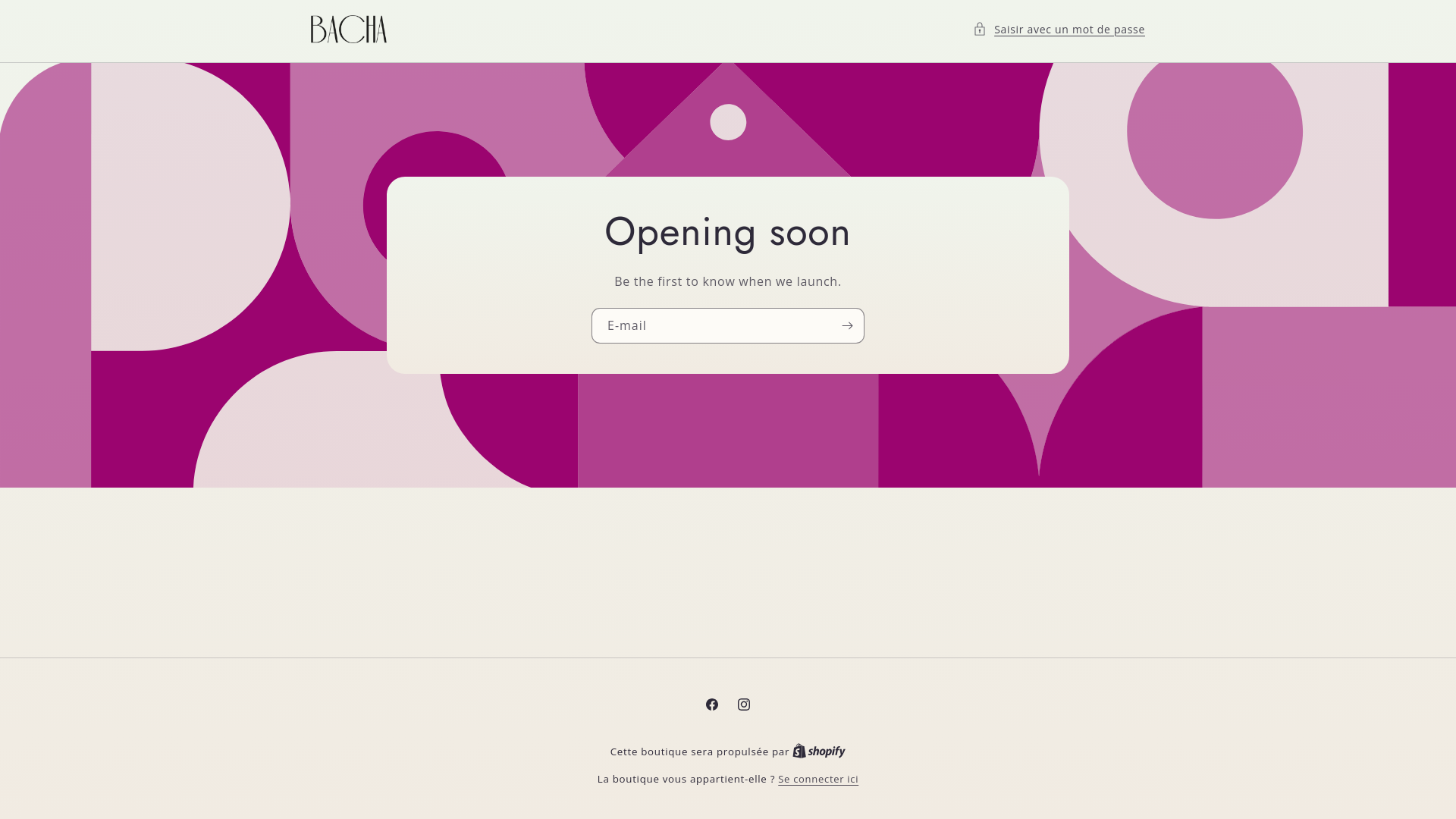 website screenshot of https://bacha-clay.be/