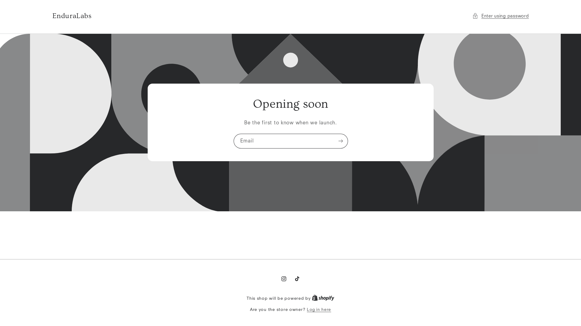 website screenshot of https://enduralabs.co.za/