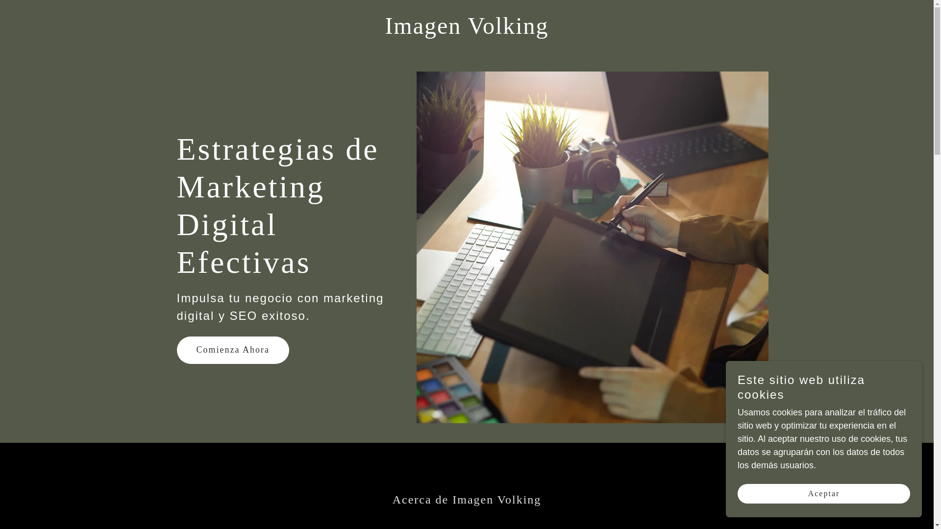 website screenshot of https://imagenvolking.com/