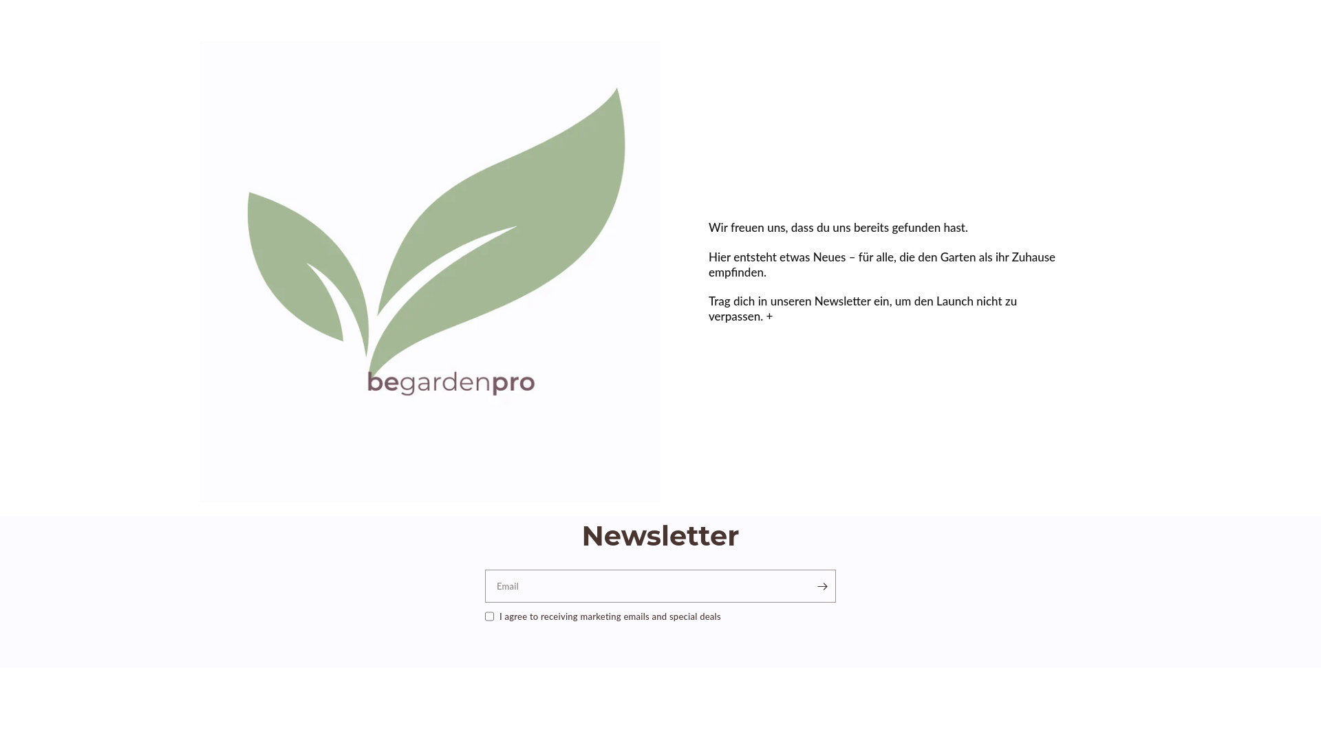 website screenshot of https://bbdynamics.io/