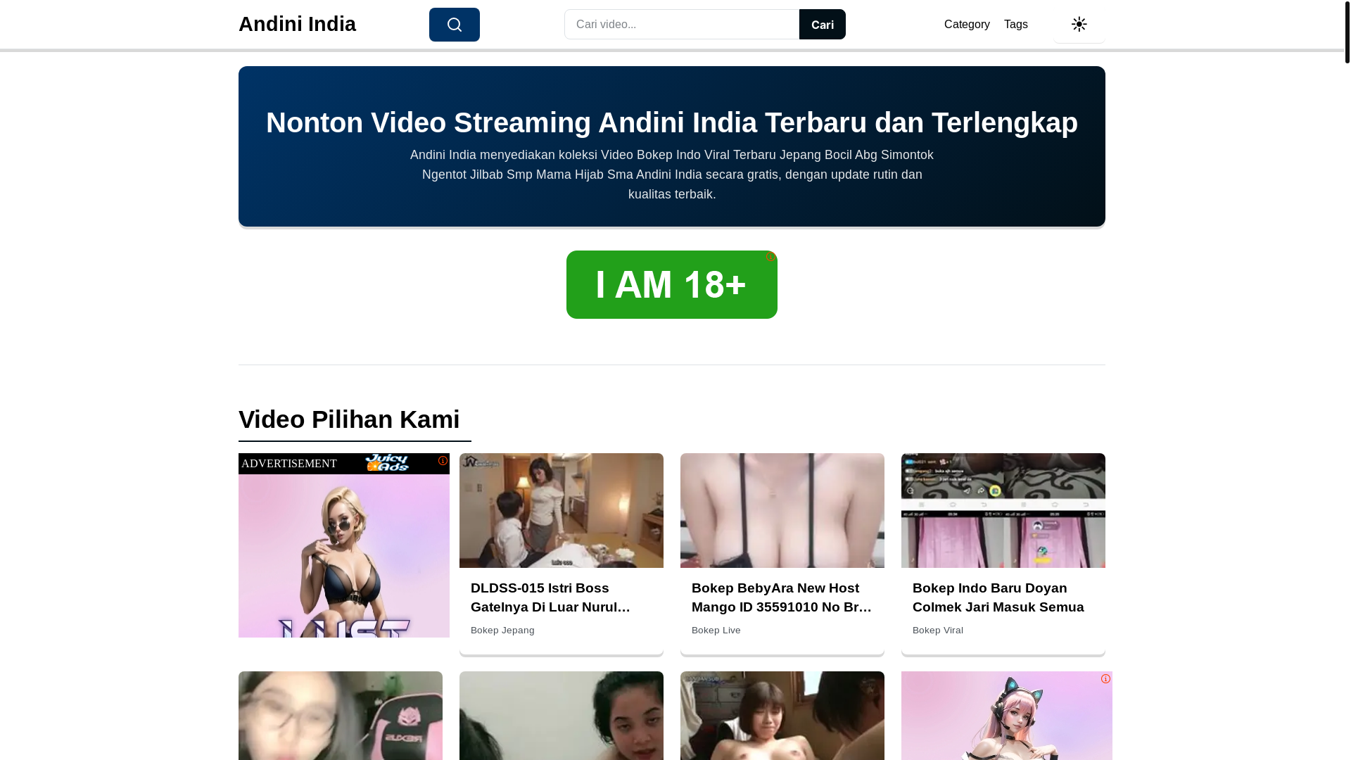 website screenshot of https://andiniindia.pages.dev/