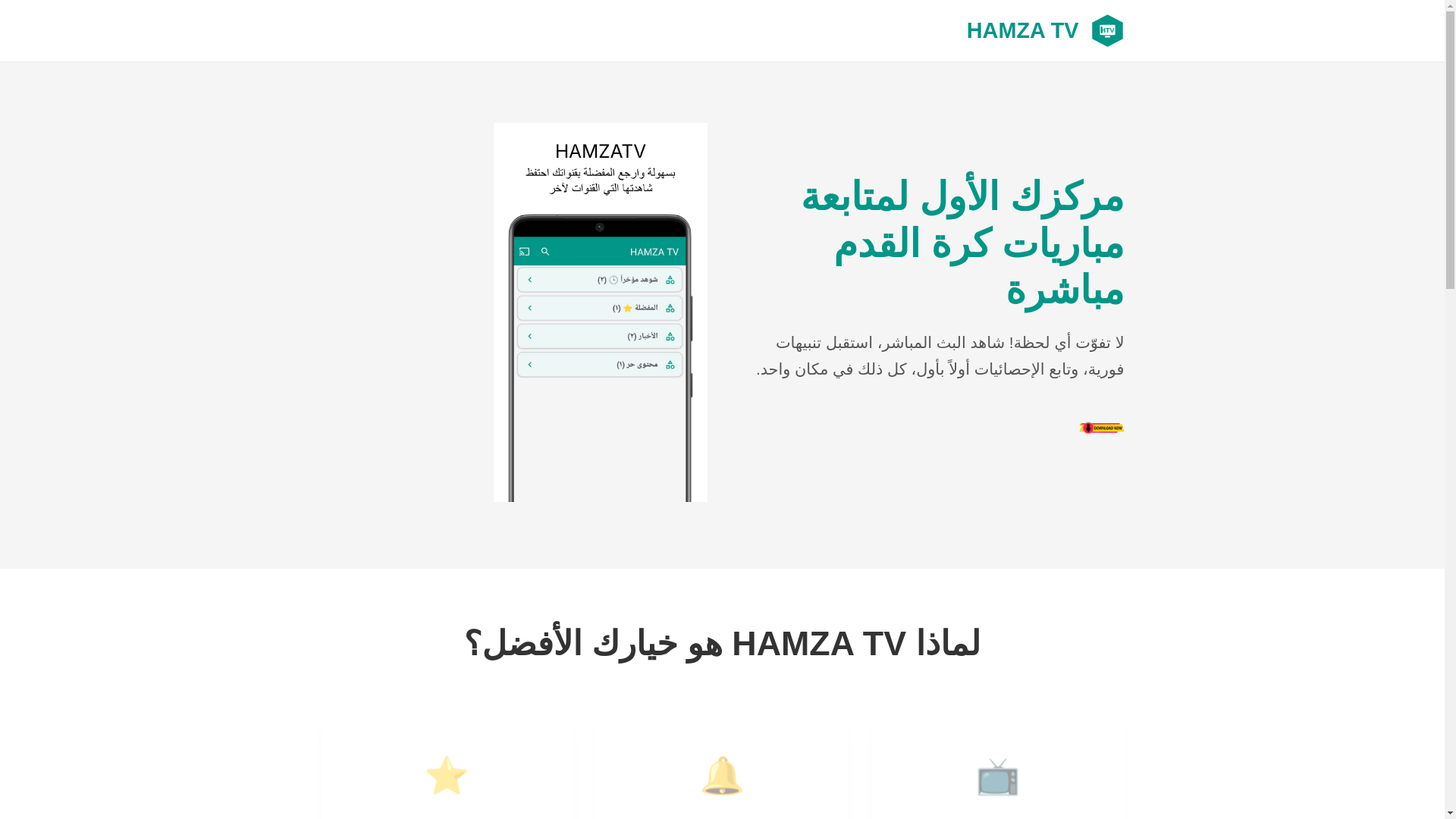 website screenshot of https://hamzatv-landing-page.pages.dev/
