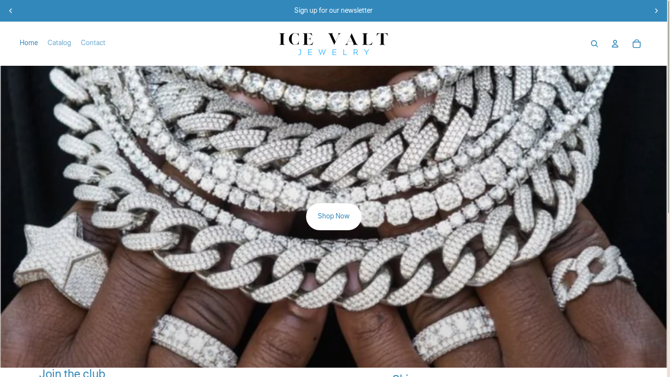 website screenshot of https://icevalt.com/