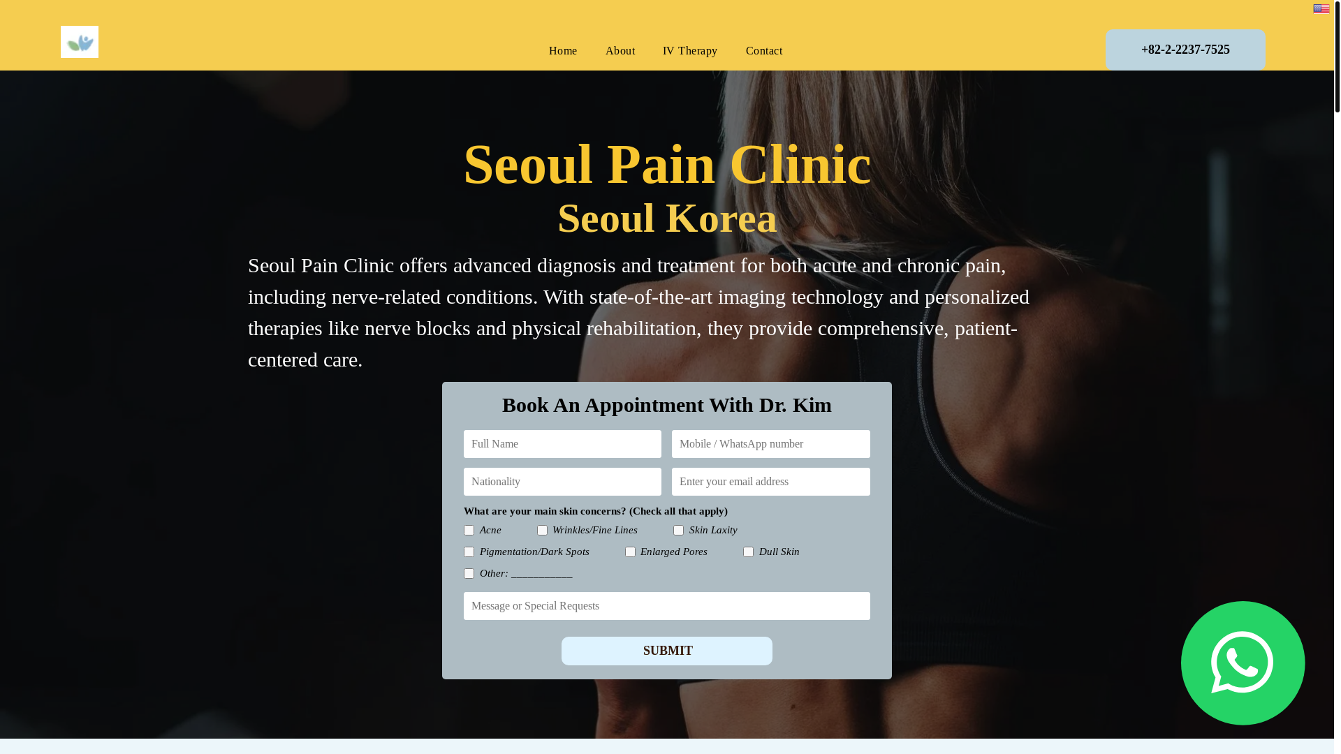 website screenshot of https://seoulpaincenter.com/