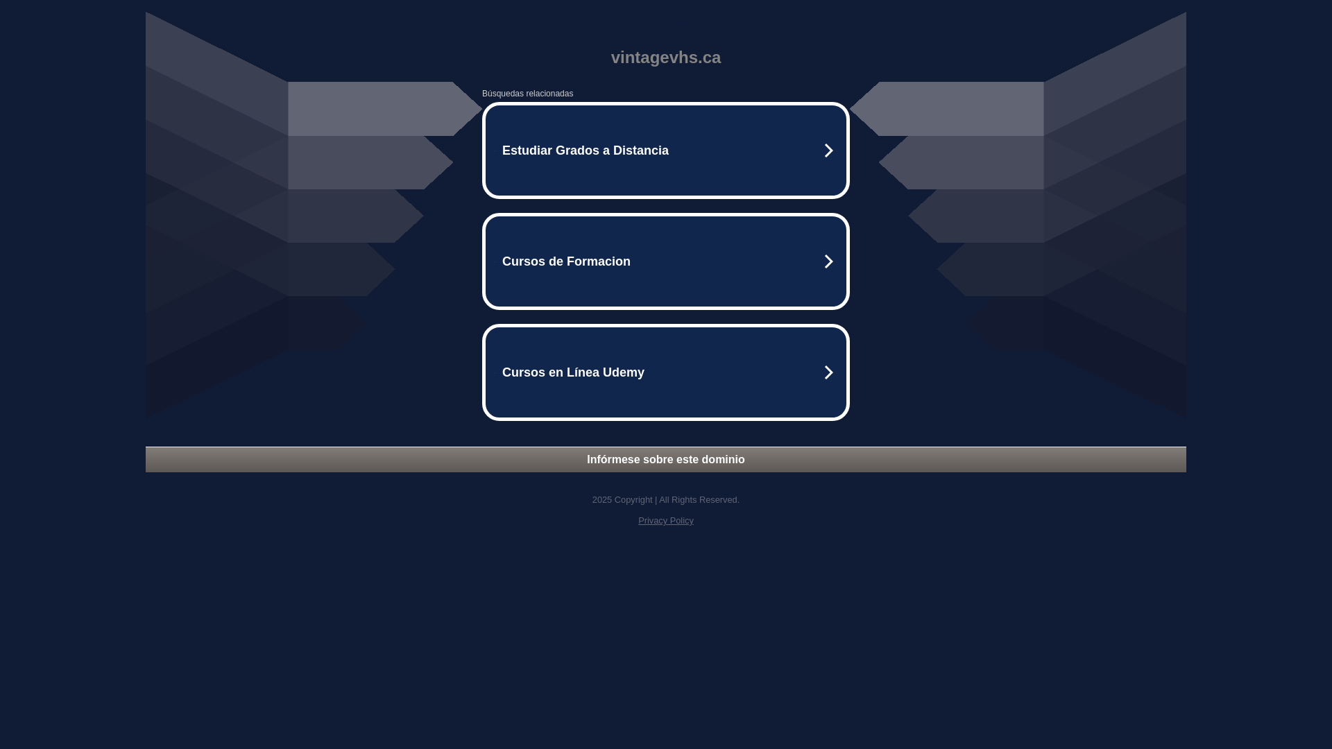 website screenshot of https://vintagevhs.ca/