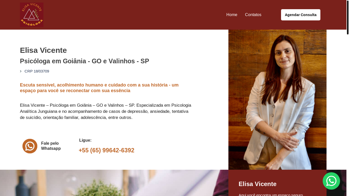 website screenshot of https://elisavicente.com.br/