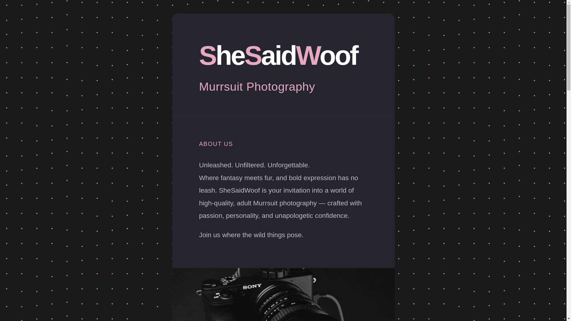 website screenshot of https://shesaidwoof.com/