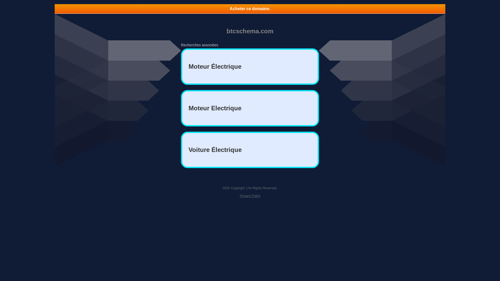 website screenshot of https://btcschema.com/