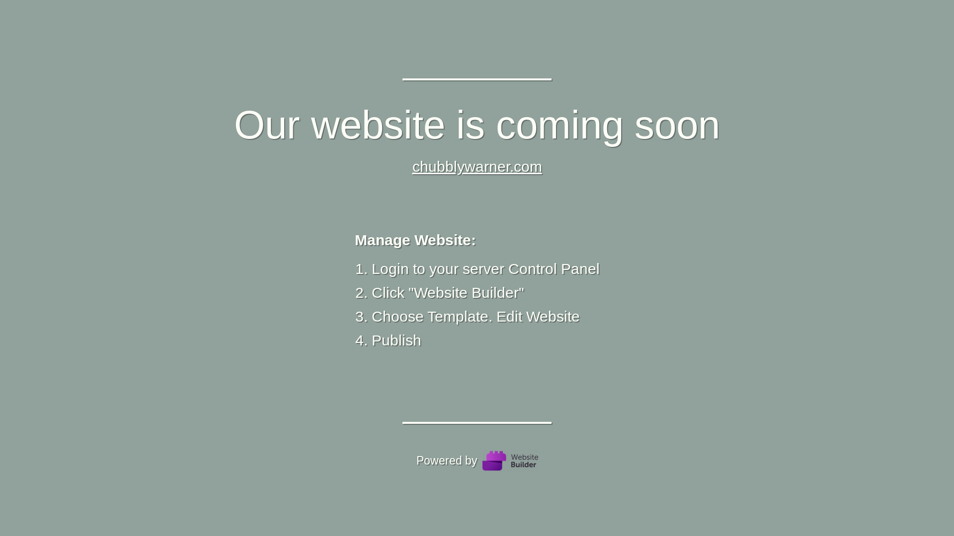 website screenshot of https://chubblywarner.com/