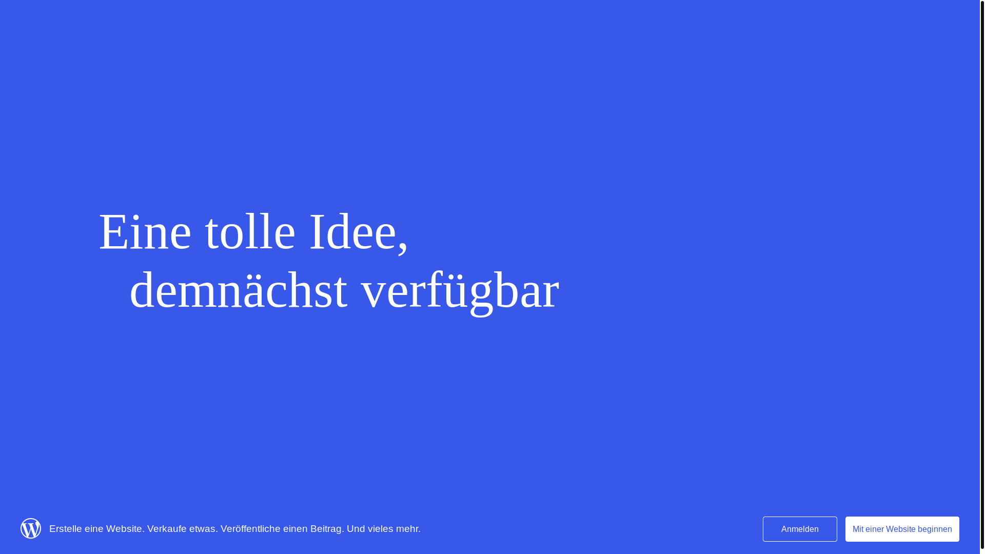 website screenshot of https://felgenstier.de/