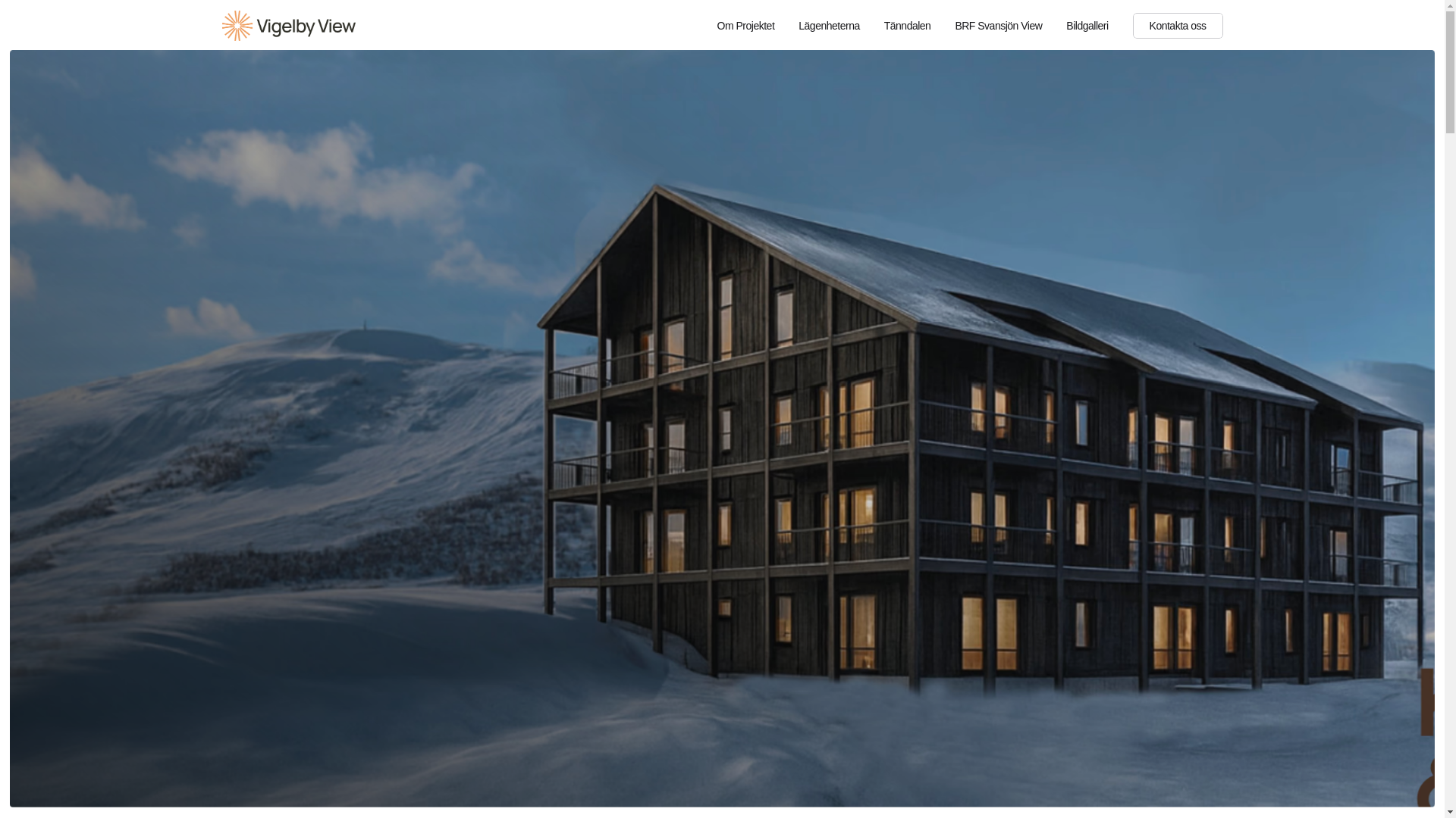website screenshot of https://vigelbyview.se/