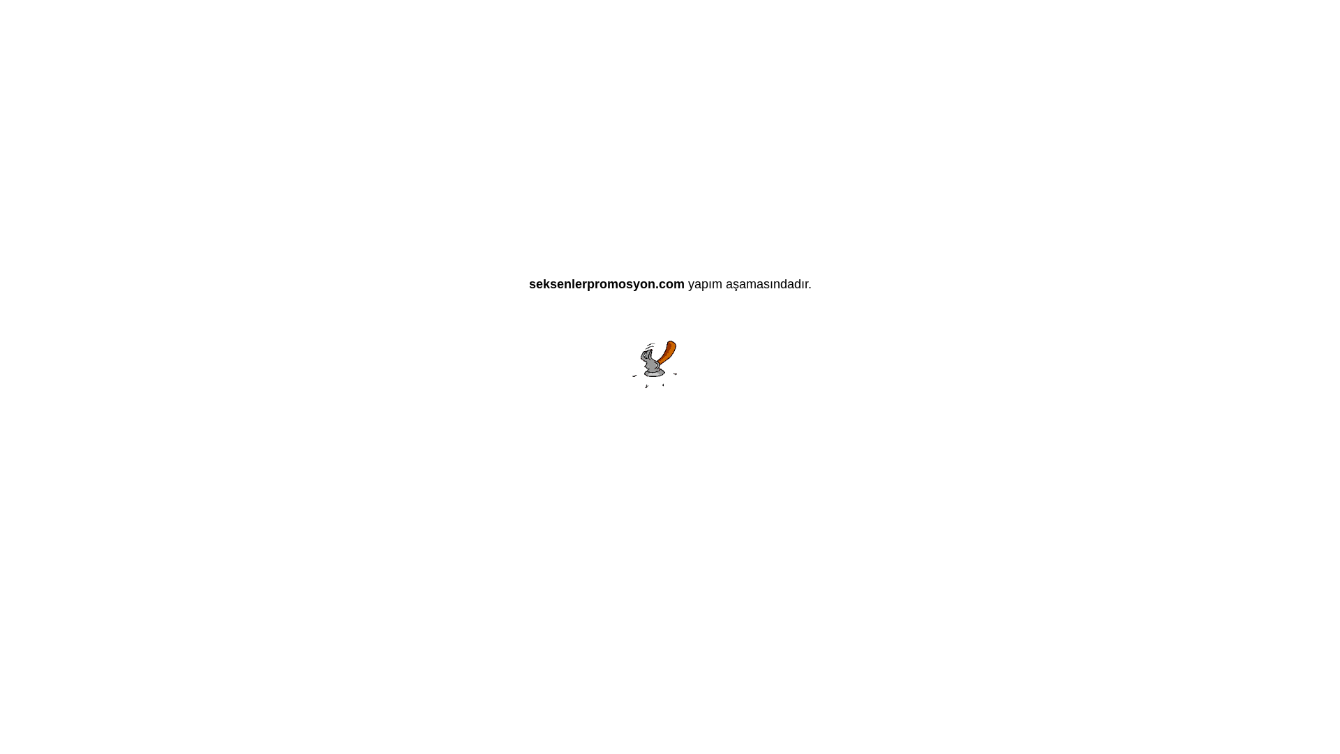 website screenshot of https://seksenlerpromosyon.com/