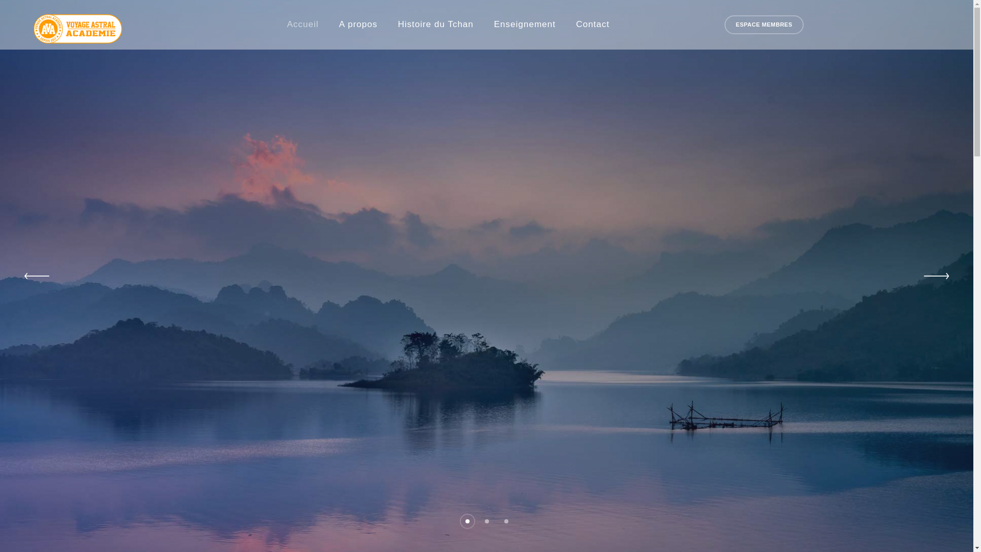 website screenshot of https://voyage-astral-academie.com/