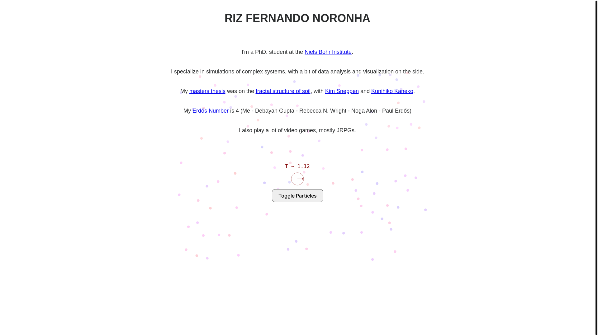 website screenshot of https://rizfn-com.pages.dev/