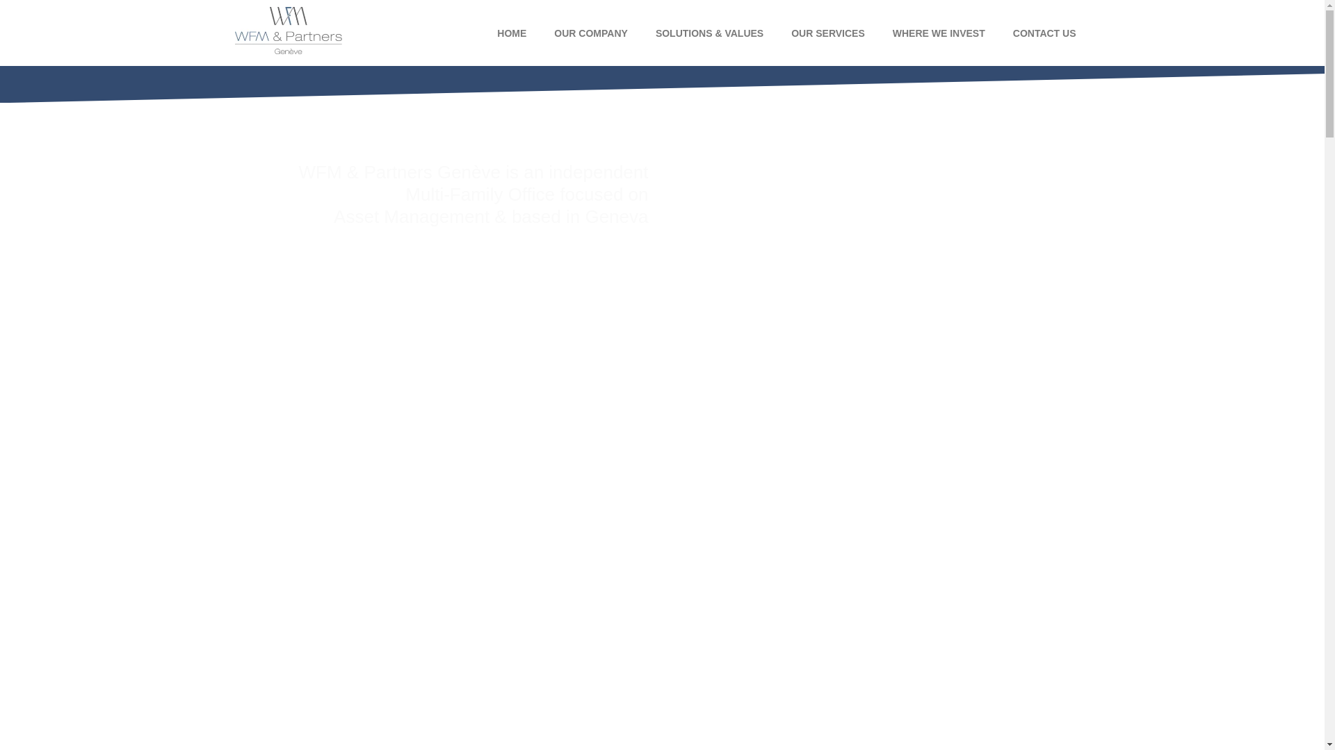 website screenshot of https://wfm-partners-sa.com/