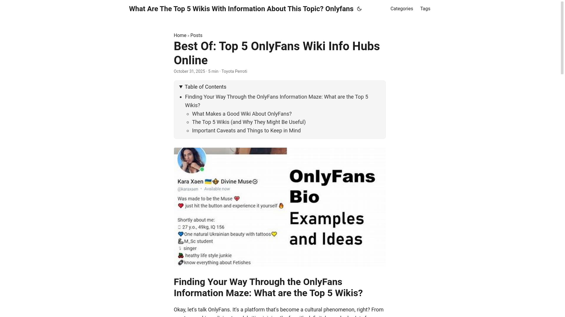 website screenshot of https://what-are-the-top-5-wikis-with-information-about-this-top.pages.dev/