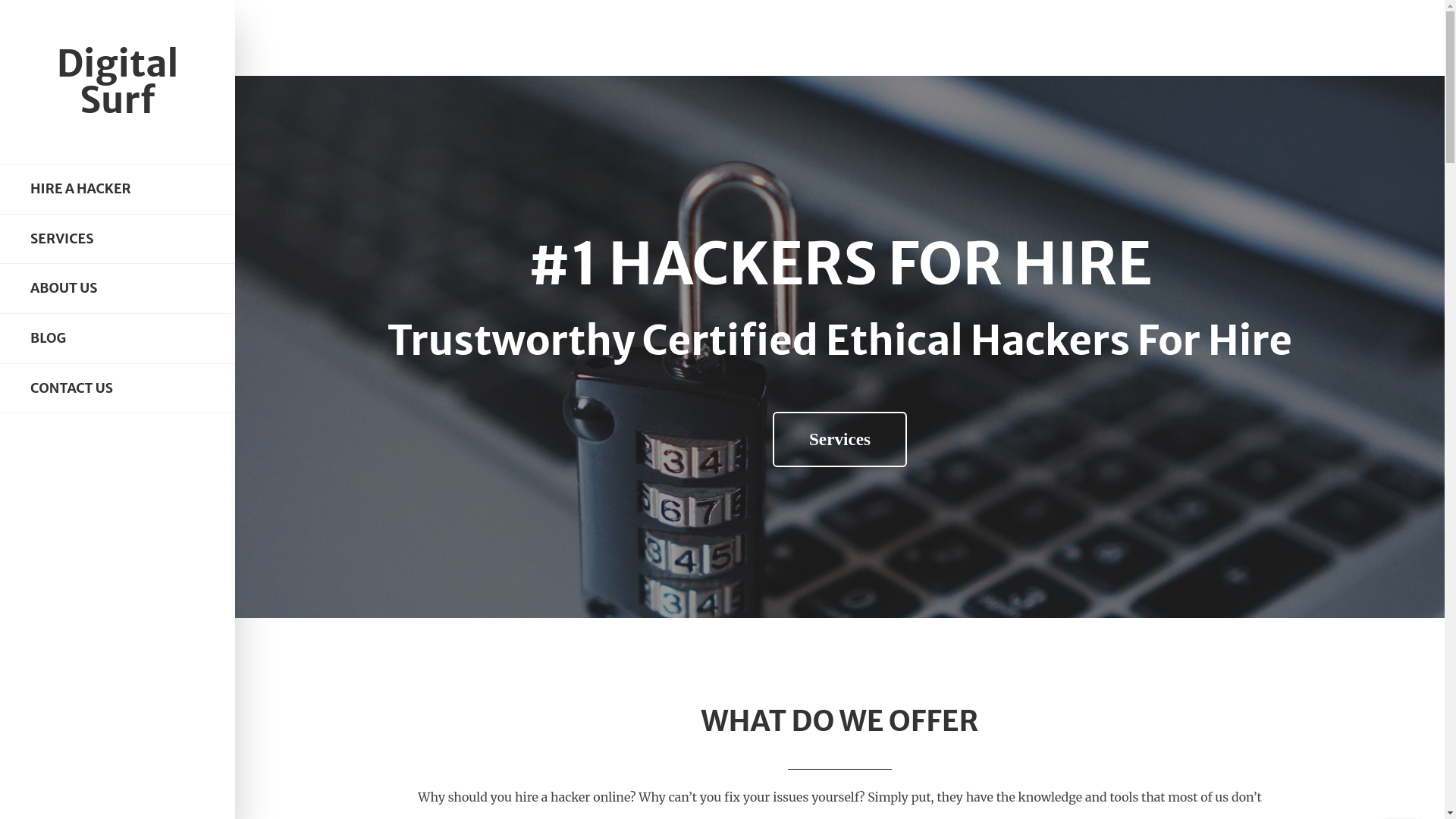 website screenshot of http://digitasurfs.com/