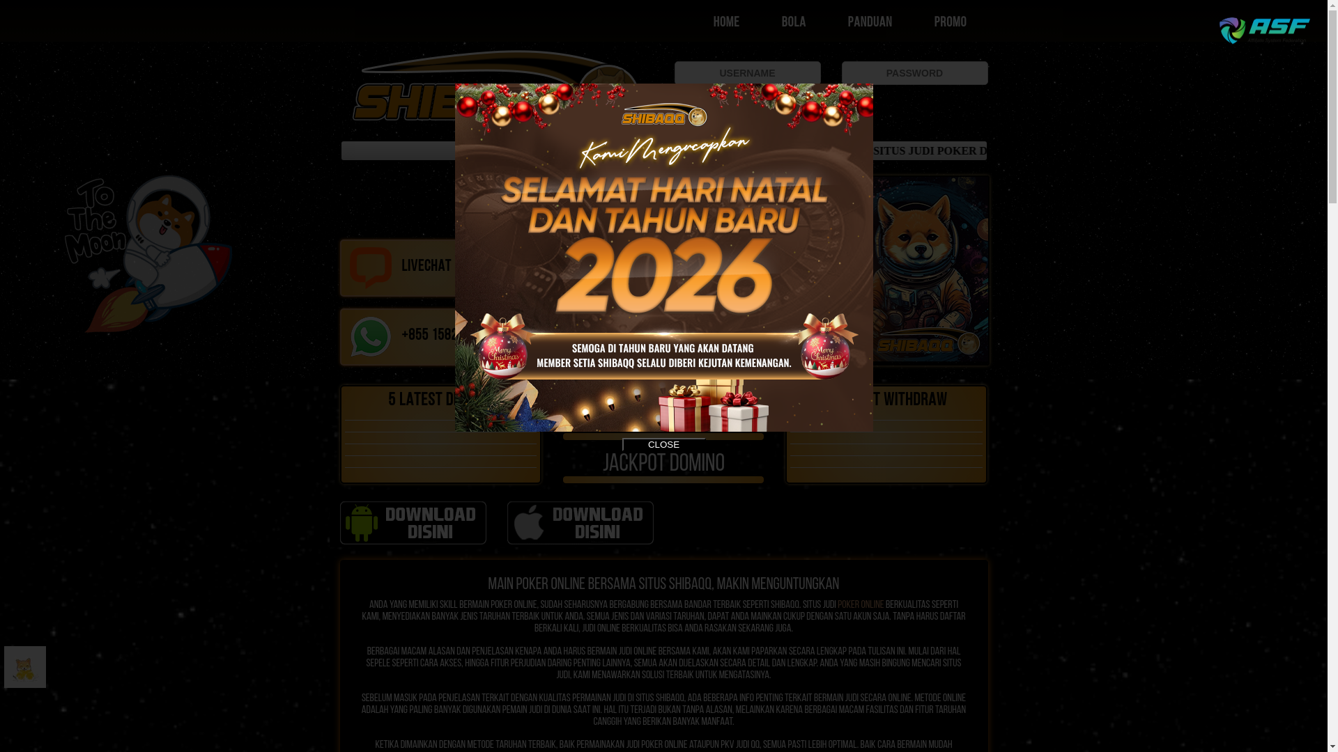 website screenshot of https://shibaqqpkv.store/