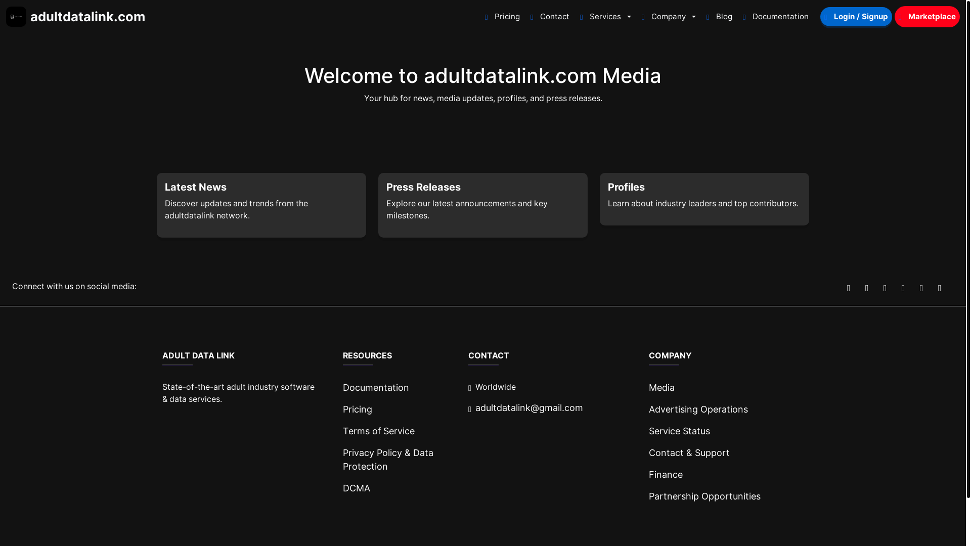 website screenshot of https://media-adultdatalink-com.pages.dev/