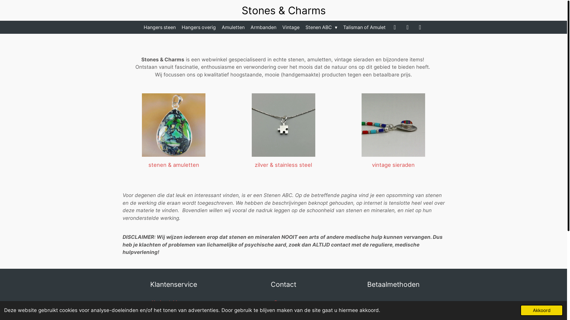 website screenshot of https://stenensieraden.nl/