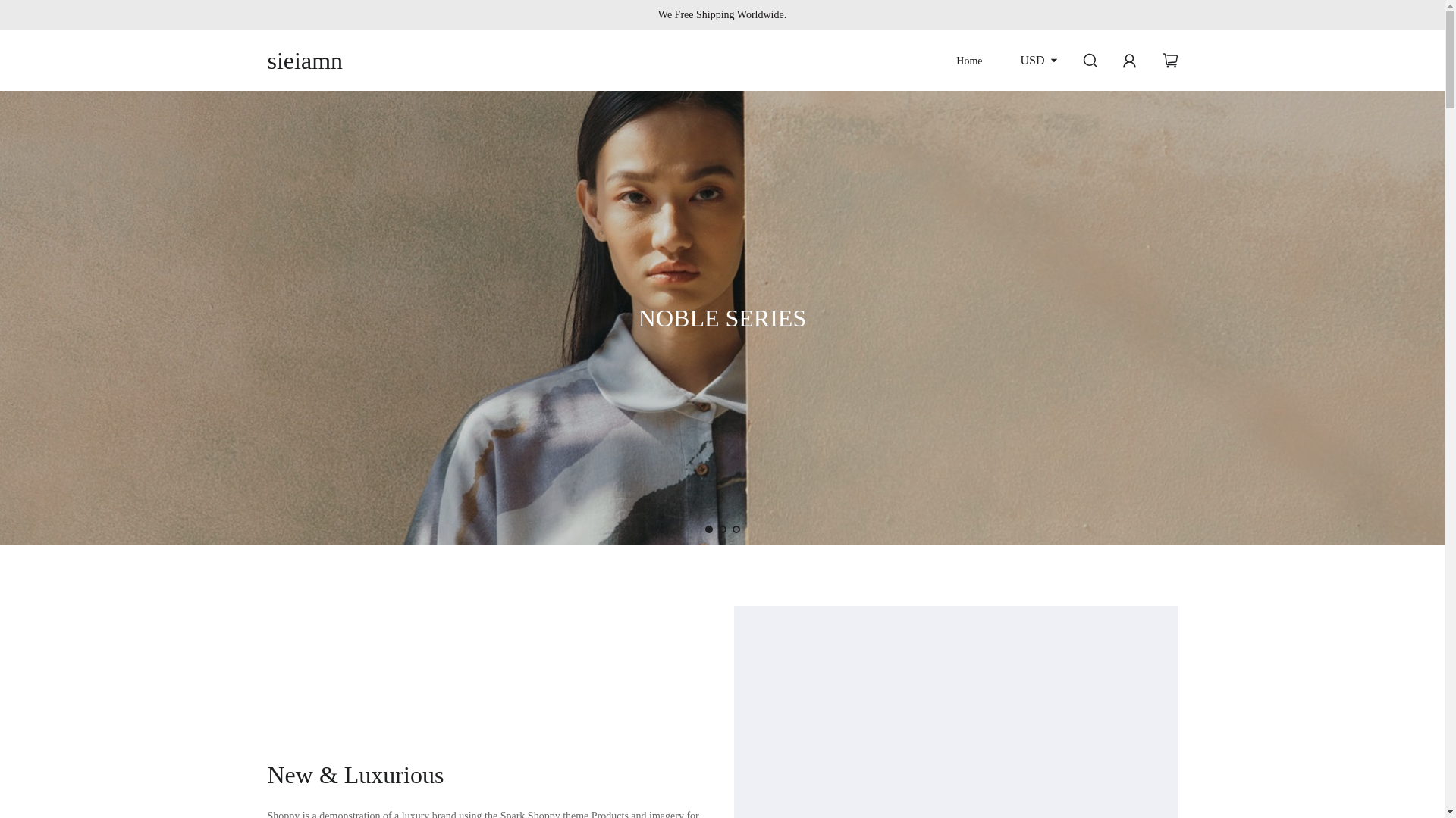 website screenshot of https://sieiamn.com/