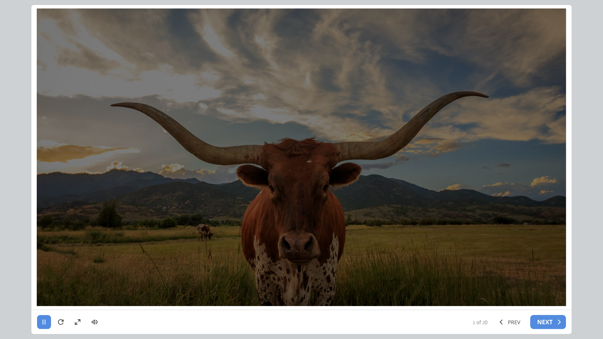 website screenshot of https://908d343e-aab3-4cd5-8a49-7ee23994fdc4-qa.pages.dev/