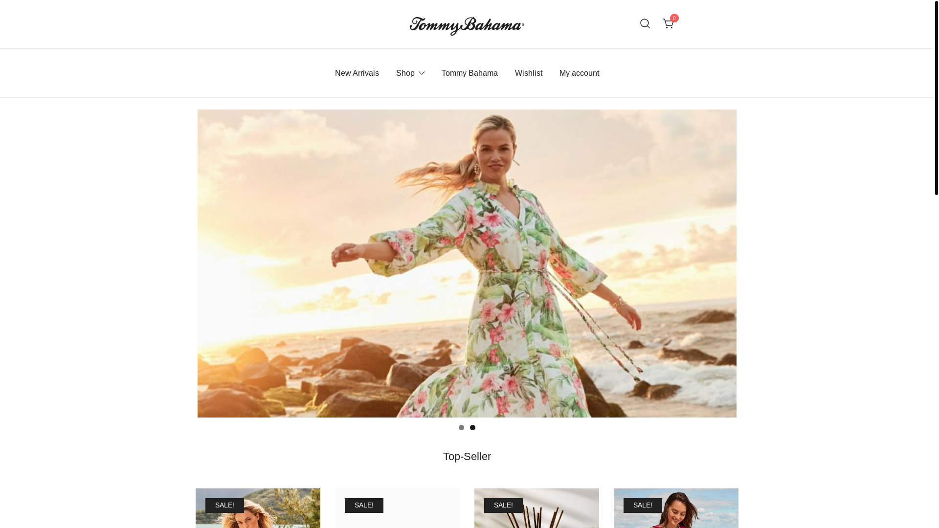 website screenshot of https://www.ninaintasen.shop/