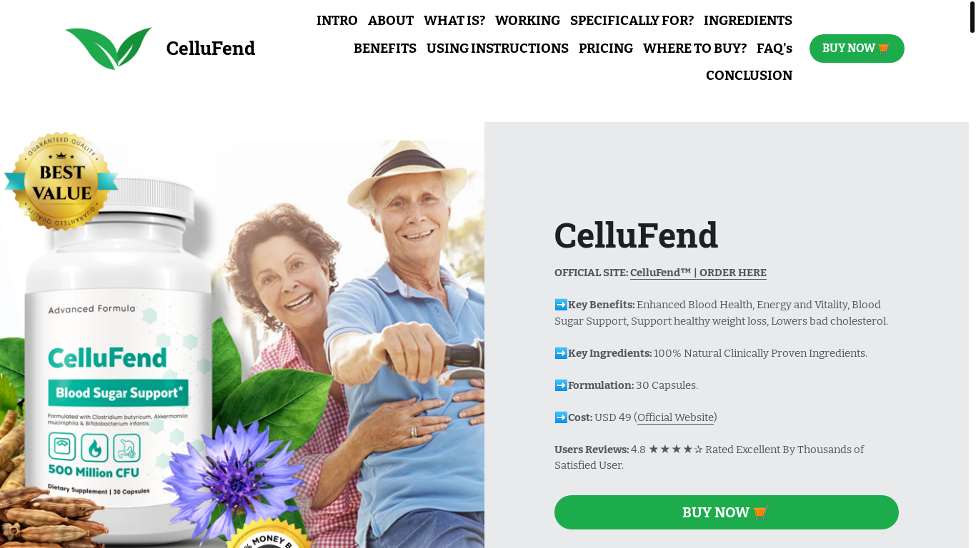 website screenshot of https://cellufend.mystrikingly.com/