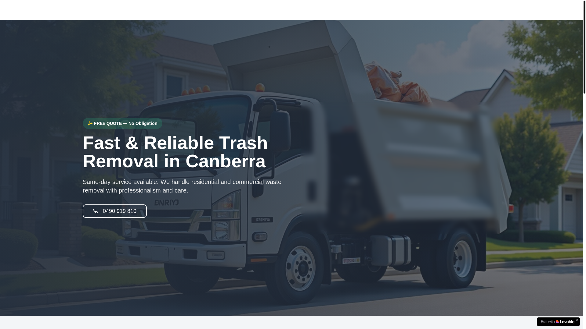 website screenshot of https://trashdashau.com/