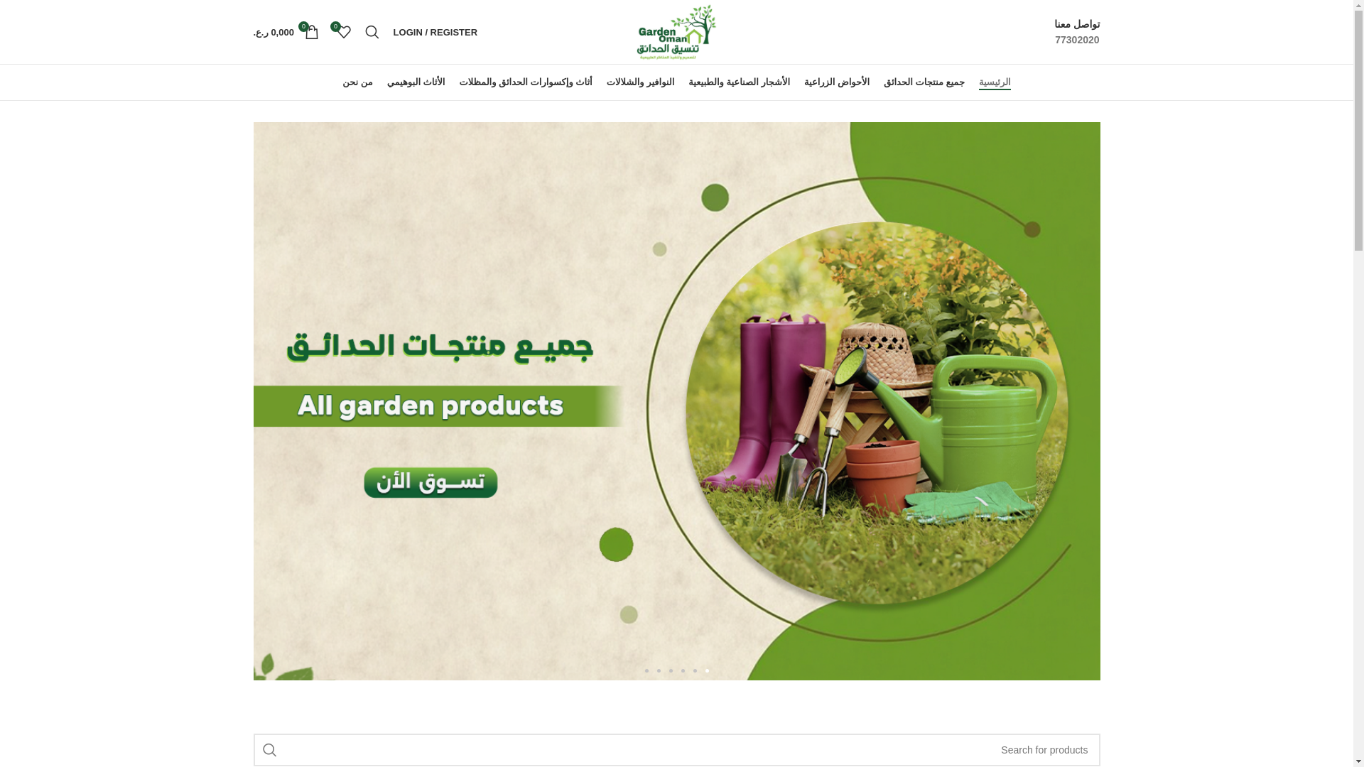 website screenshot of https://dana-store.online/