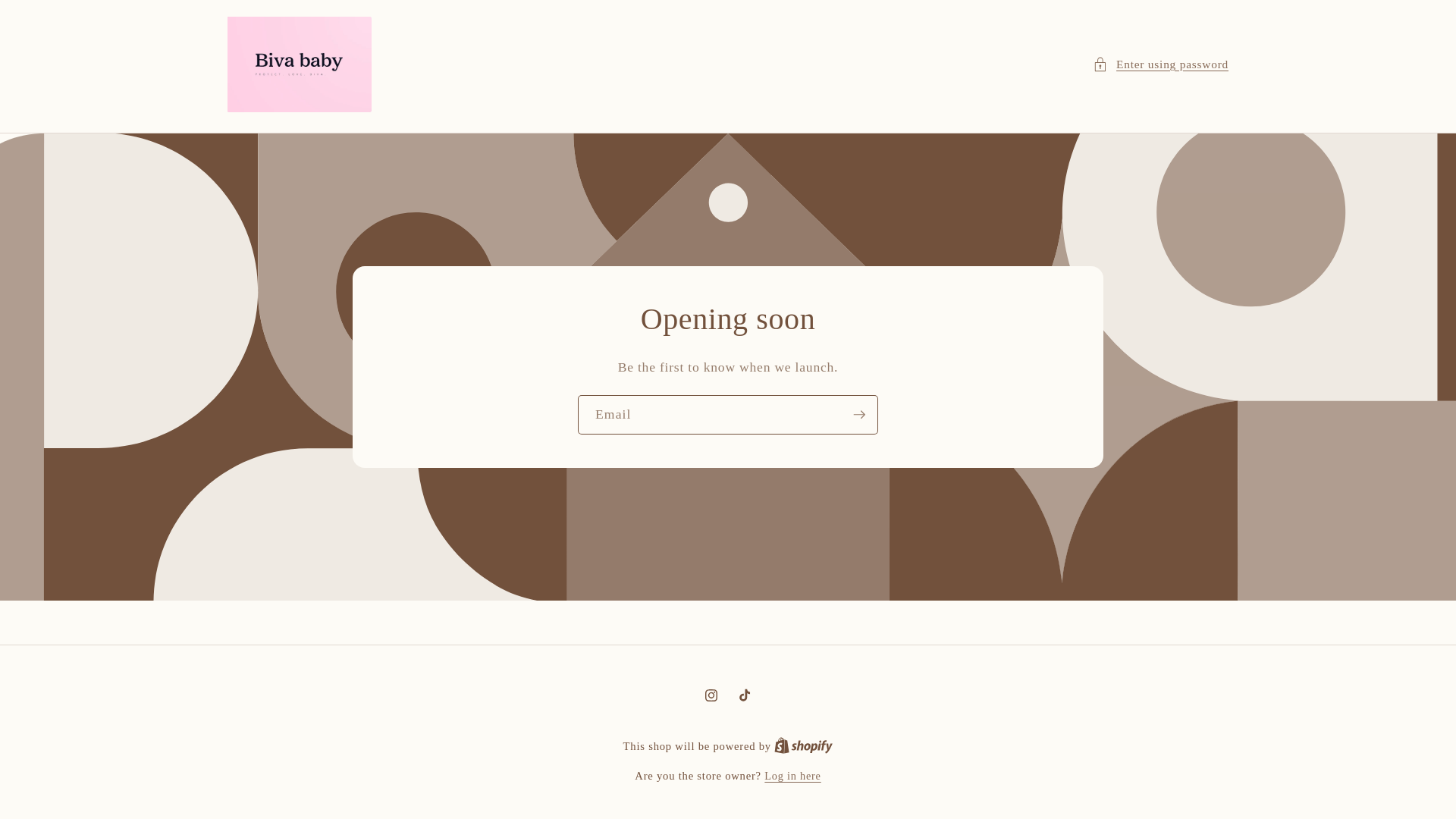 website screenshot of https://bivababyshop.com/