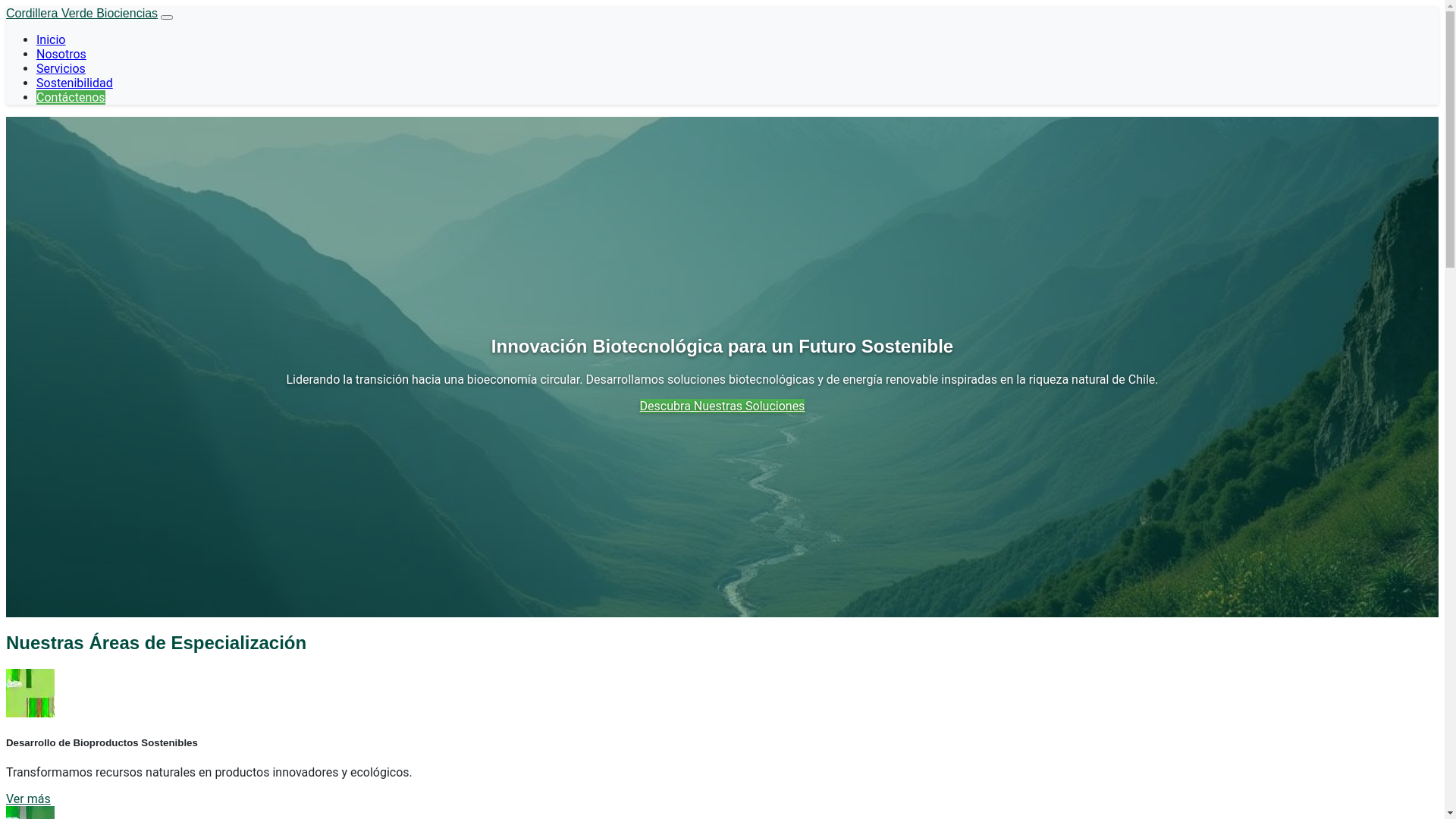 website screenshot of https://lifecore.run/