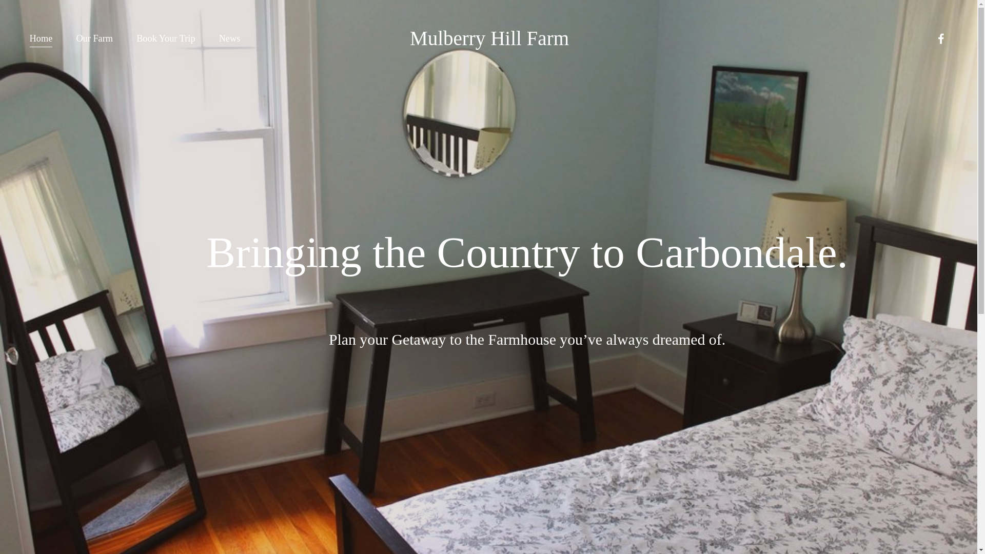 website screenshot of https://mulberryhillfarmcarbondale.com/