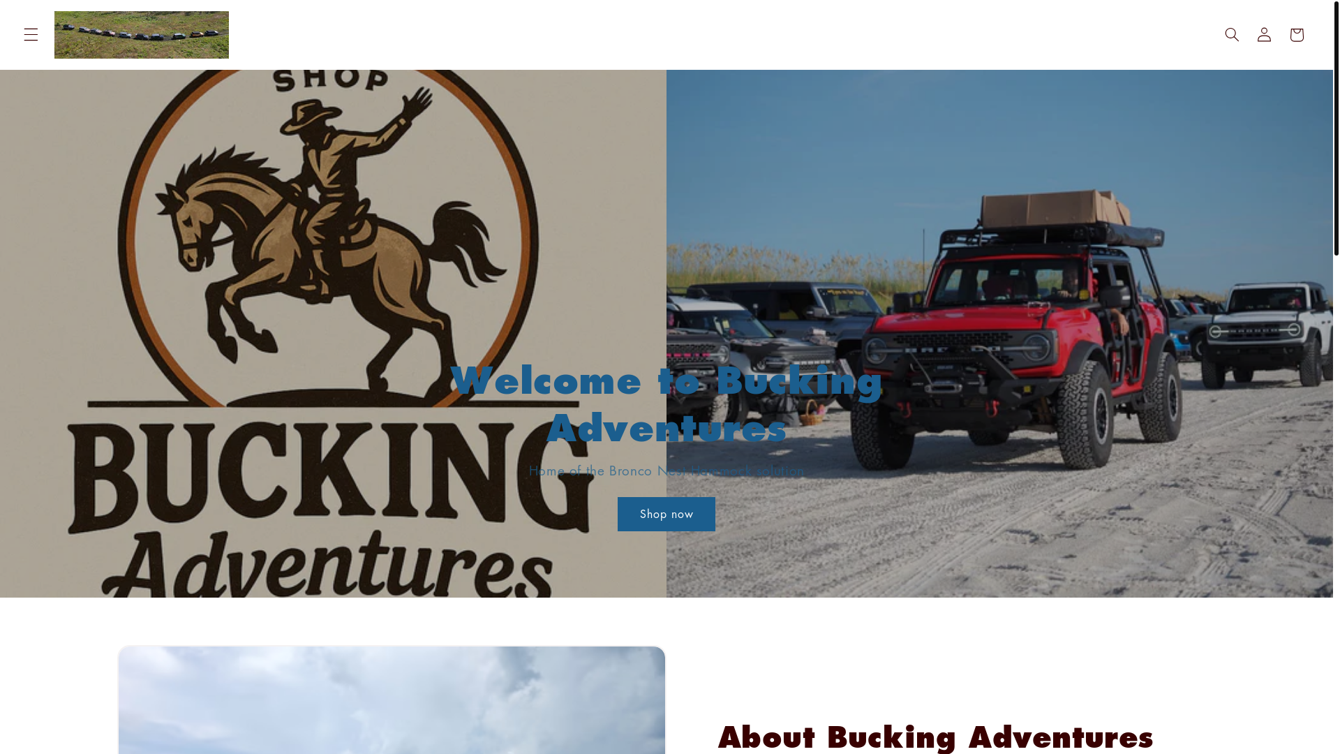 website screenshot of https://buckingadventures.com/