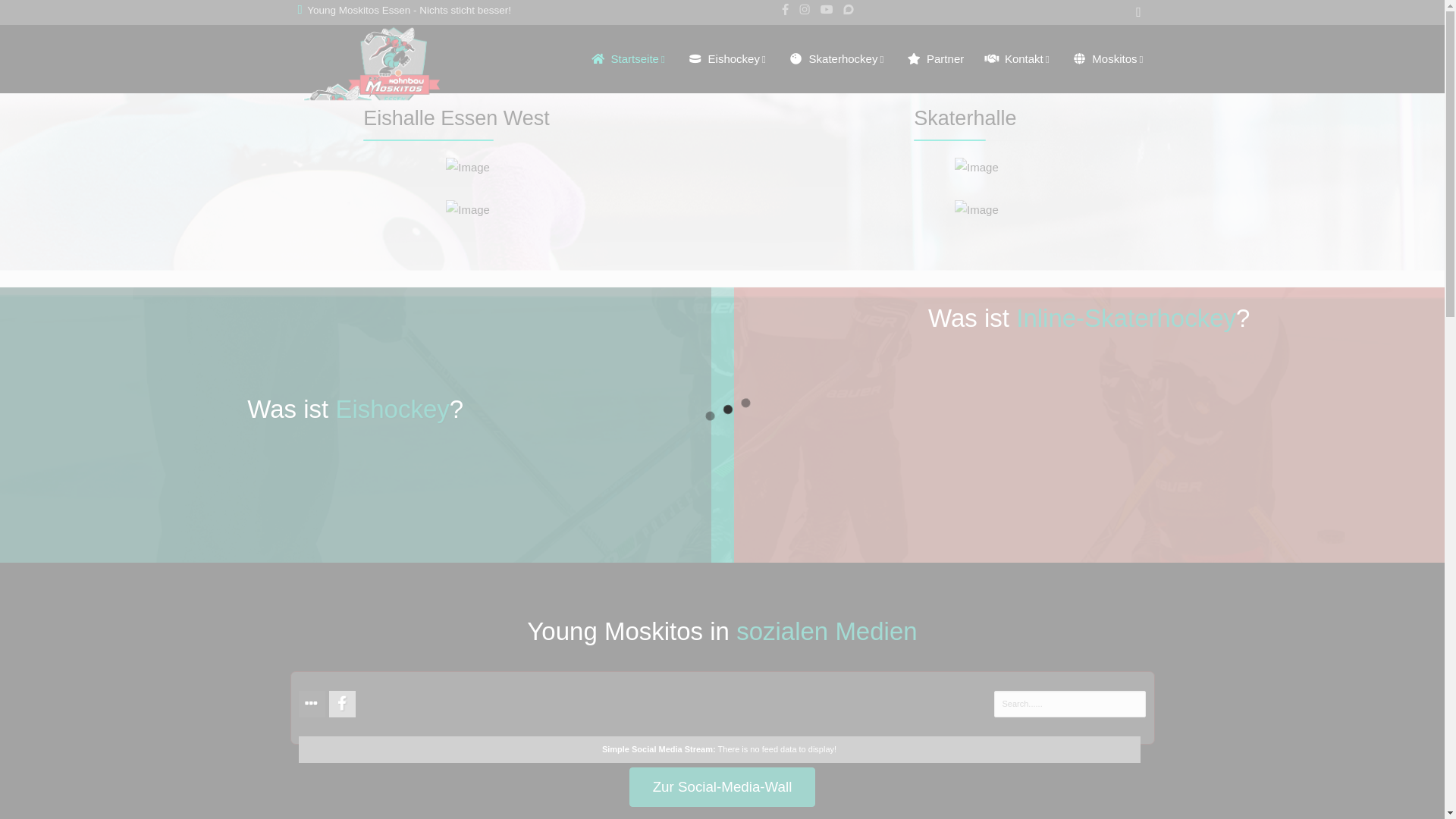 website screenshot of https://esc-essen.de/